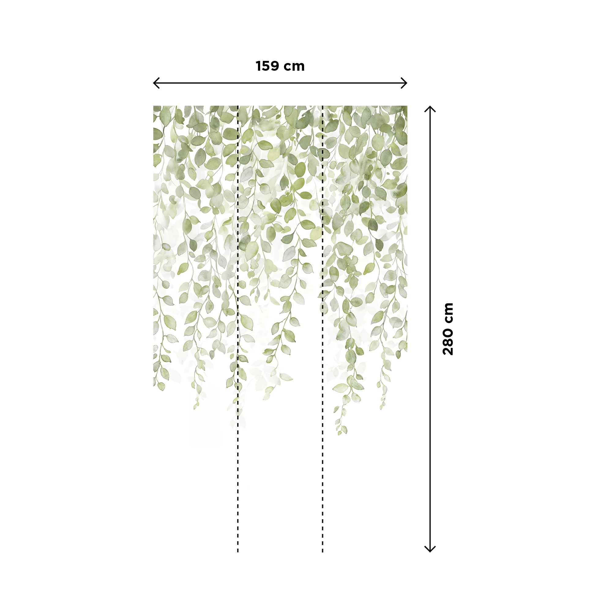 ALLEGRA - Image 3