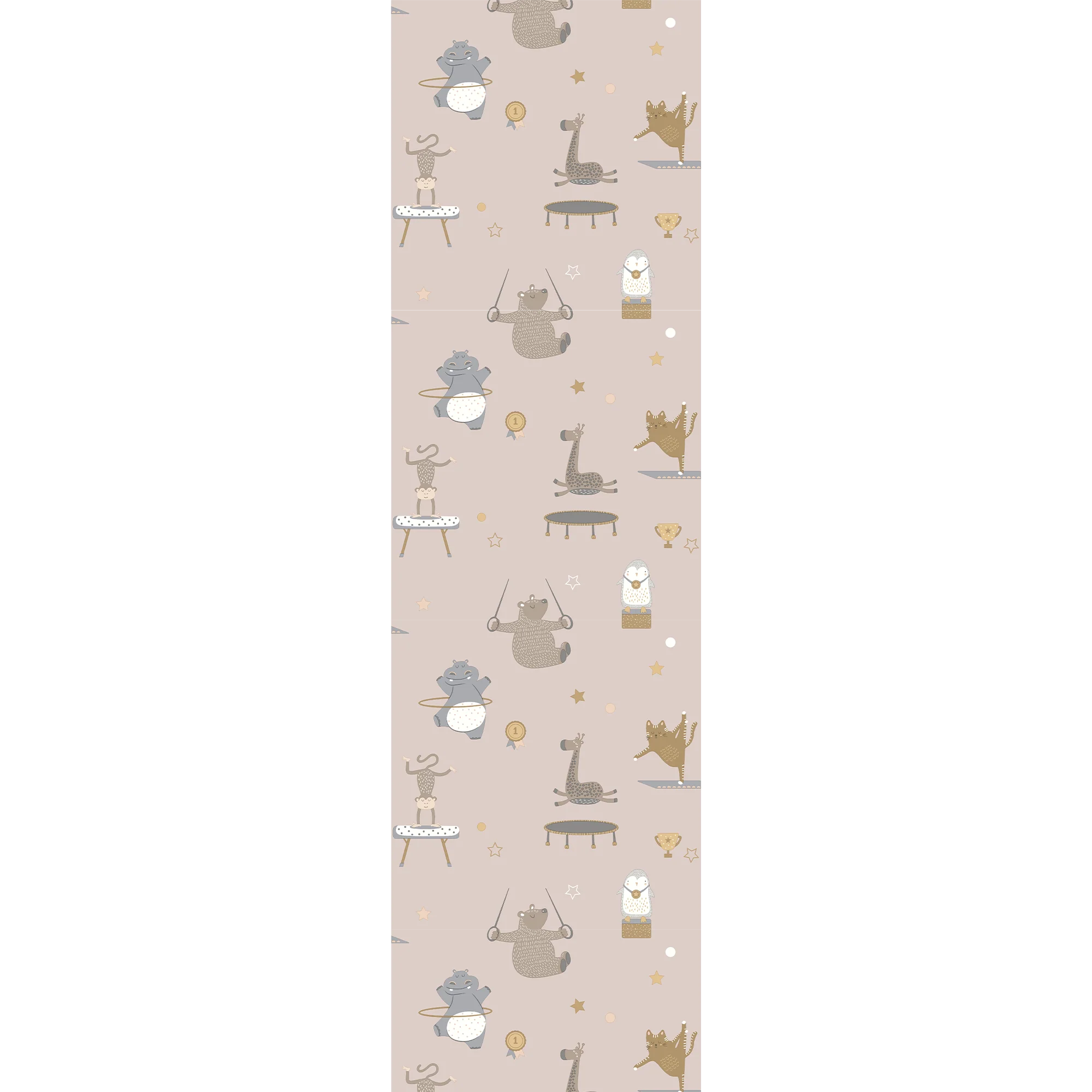 ANIMAL GYMNASTICS - Image 3