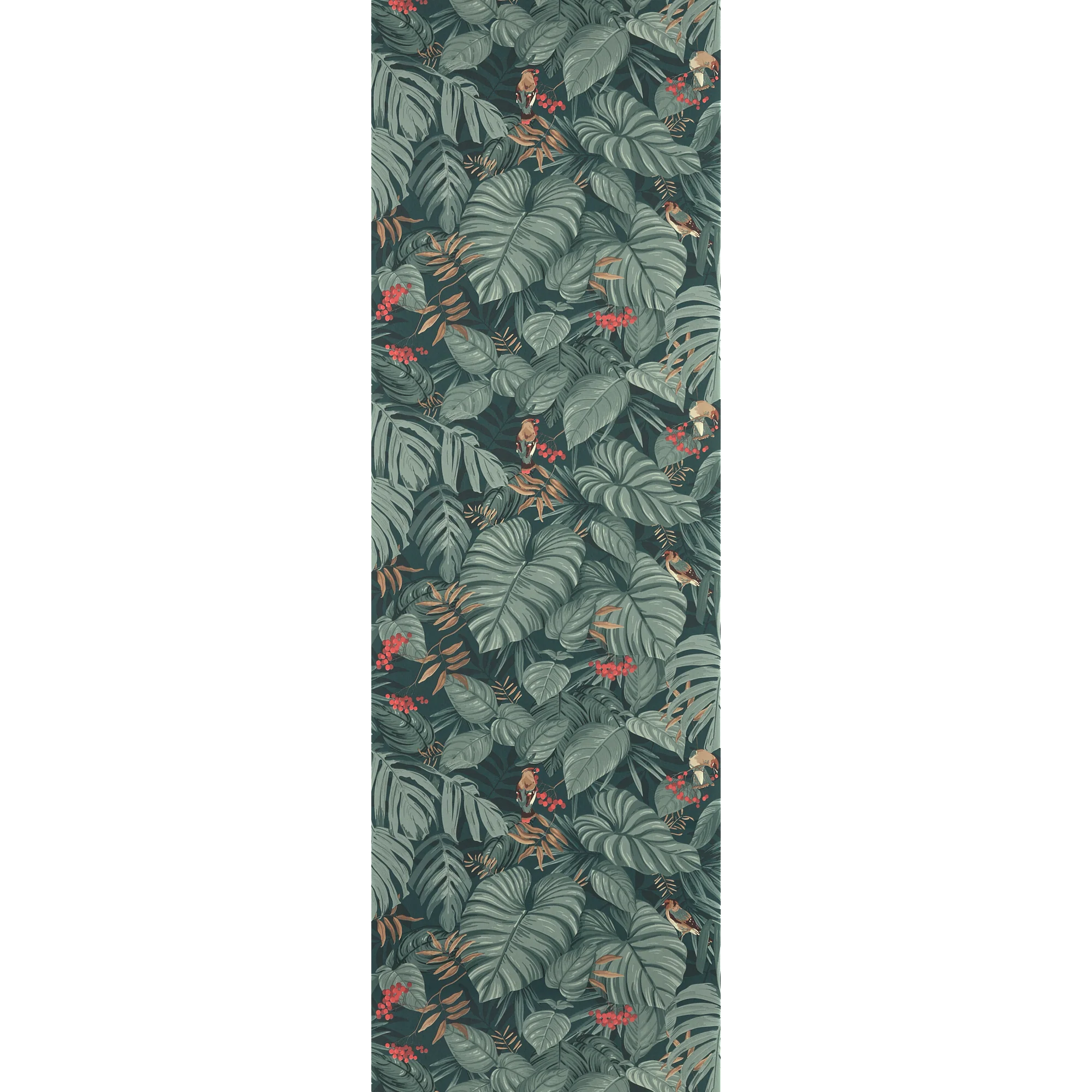 ABIGAEL - Image 4