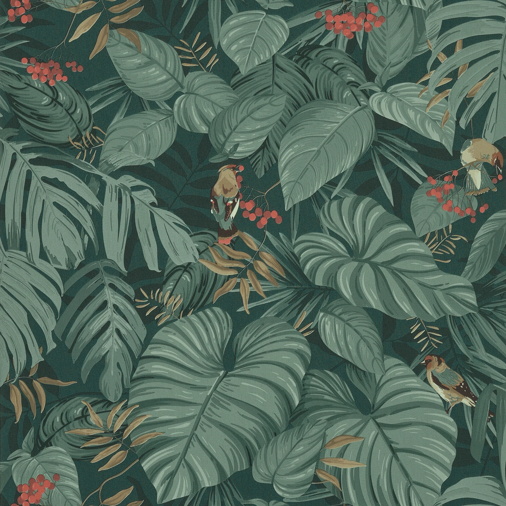 ABIGAEL - Image 5