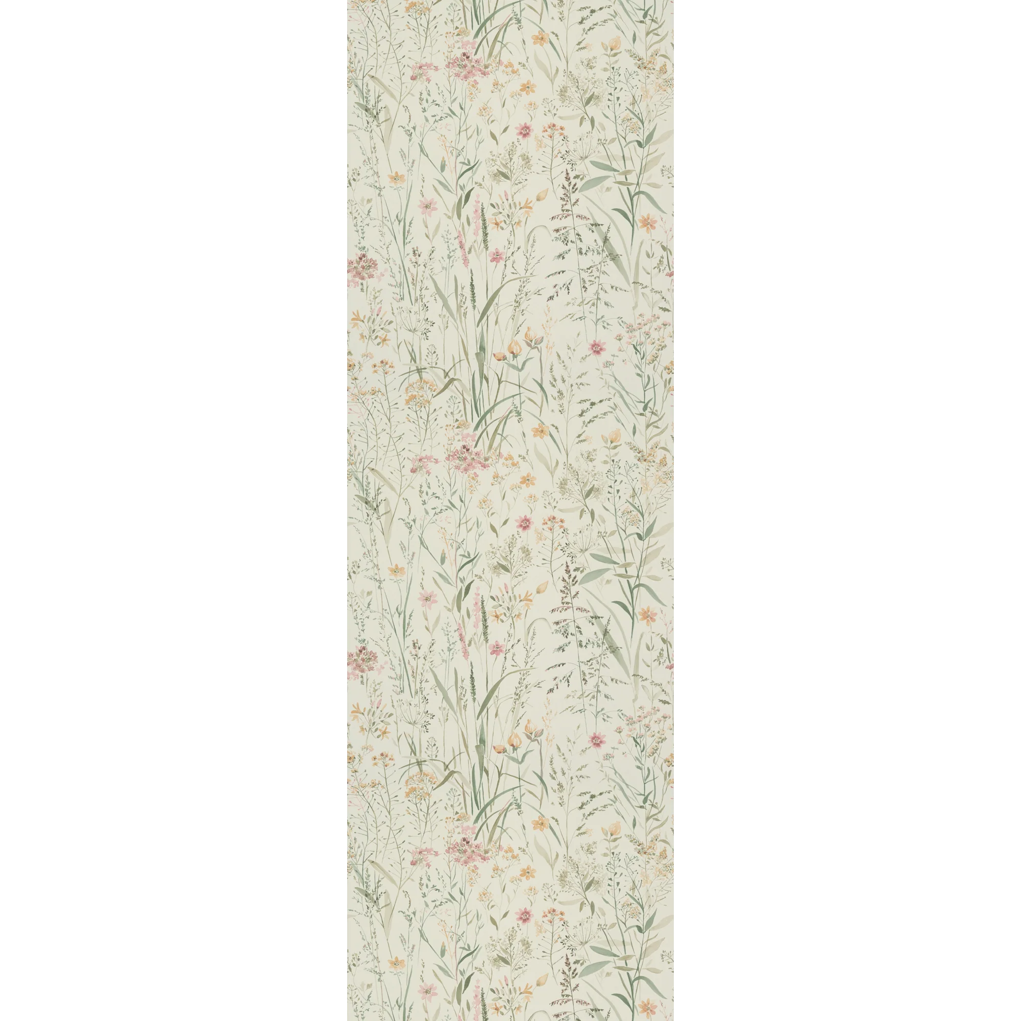 ALEXA - Image 4