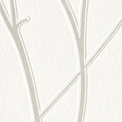 AUDACE - Image 7