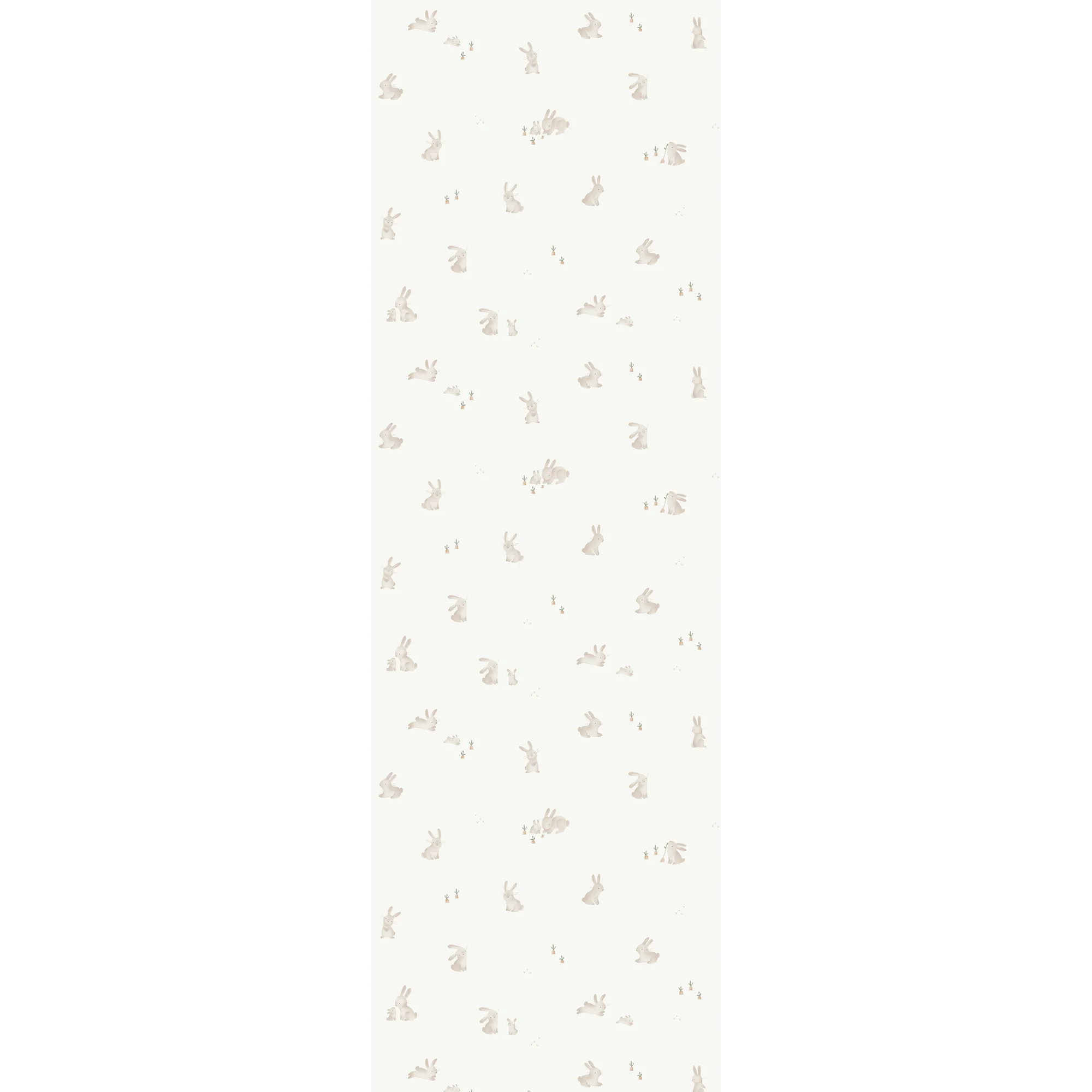 BABY BUNNY - Image 3