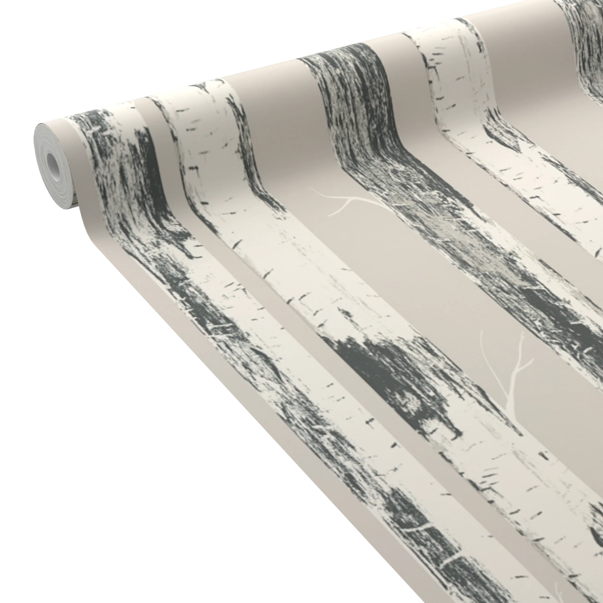 BETULA