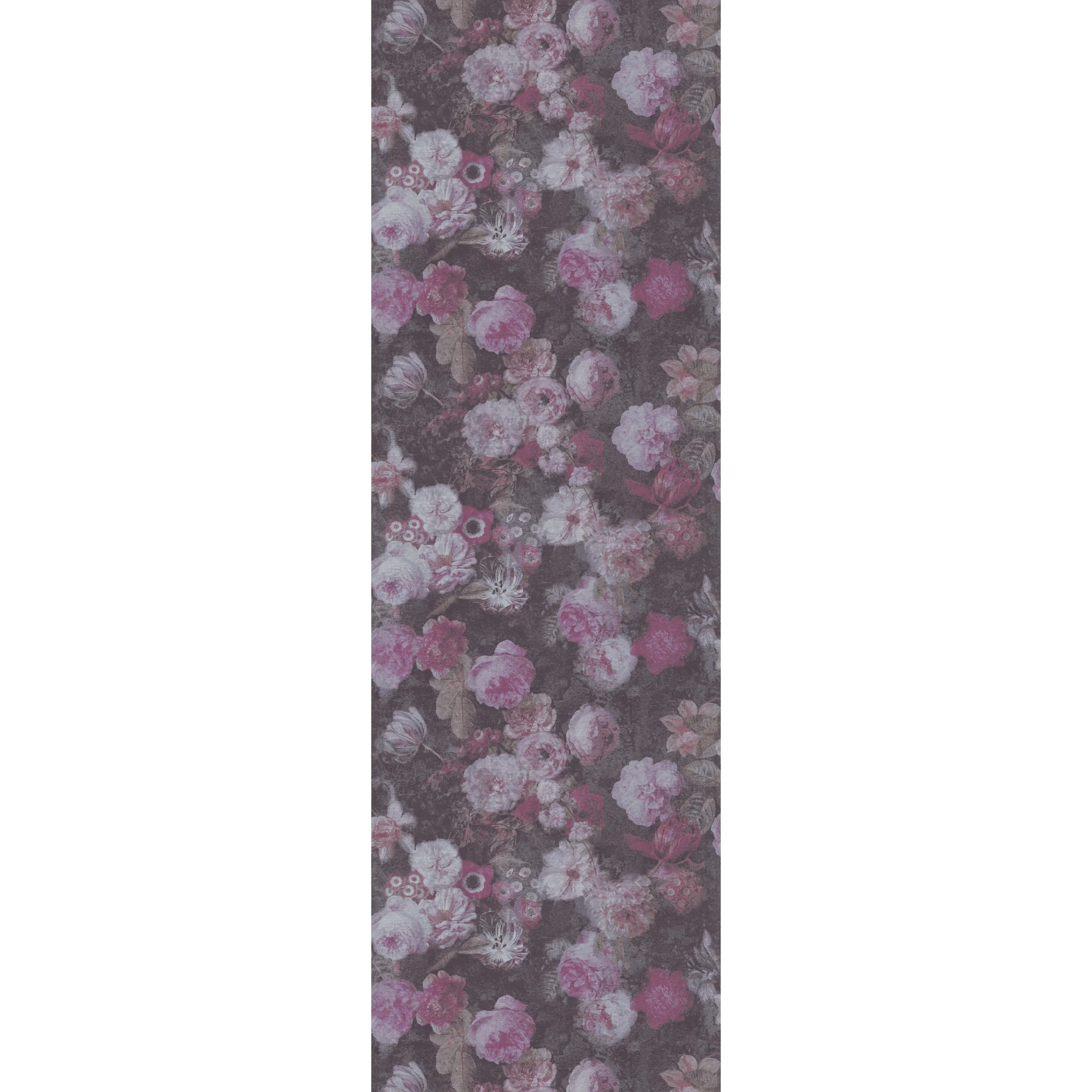 CLAUDIA - Image 4