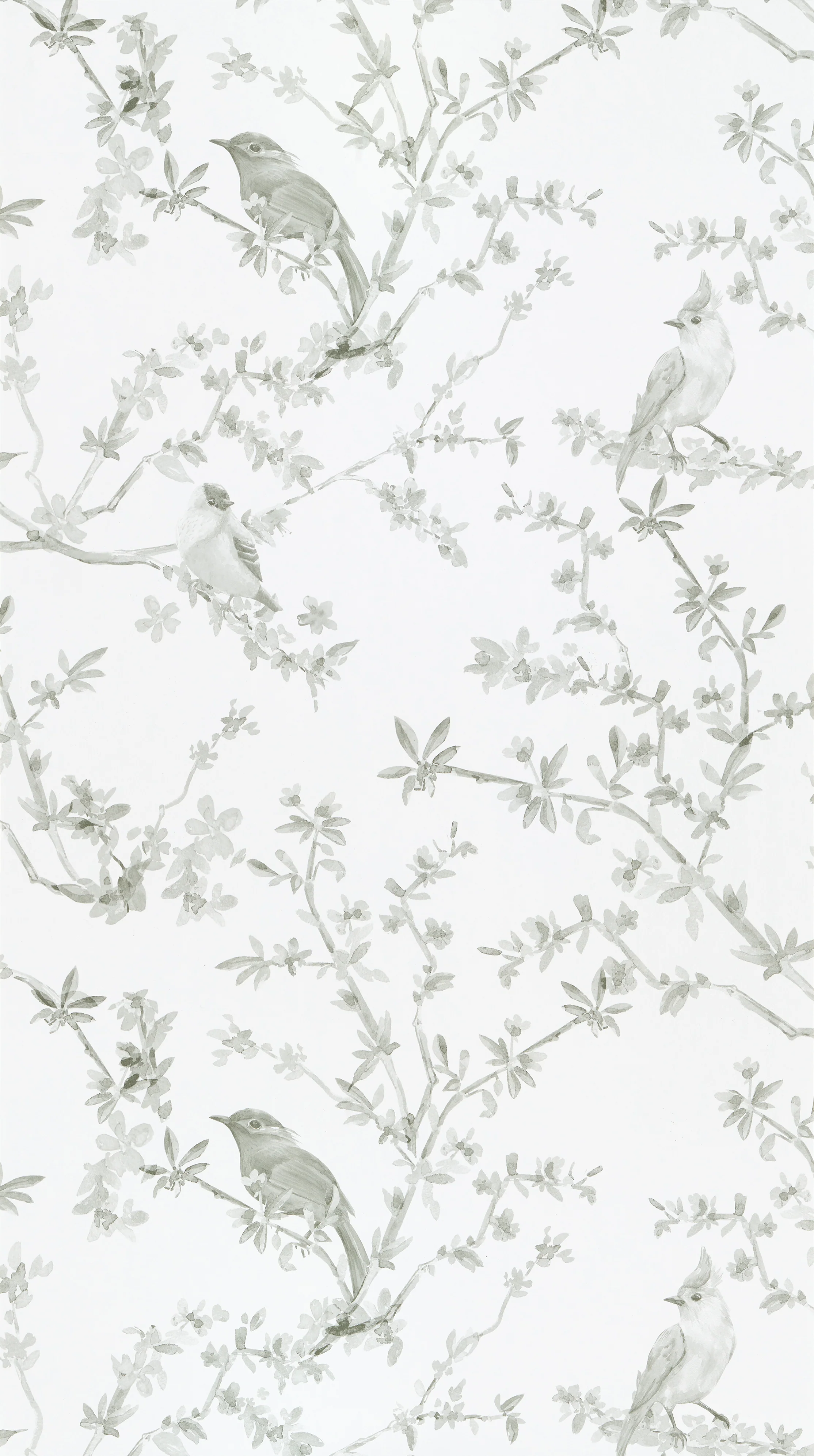FAUSTINE - Image 4