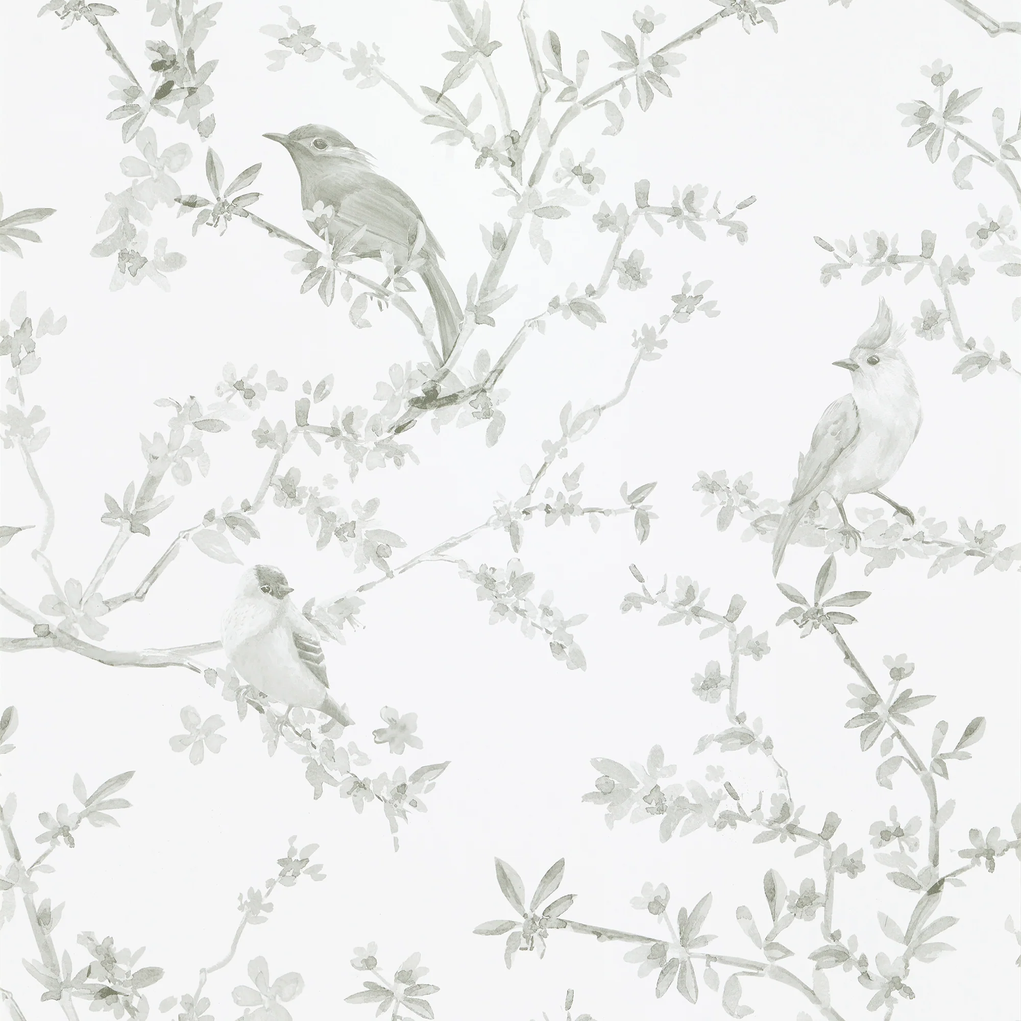 FAUSTINE - Image 5