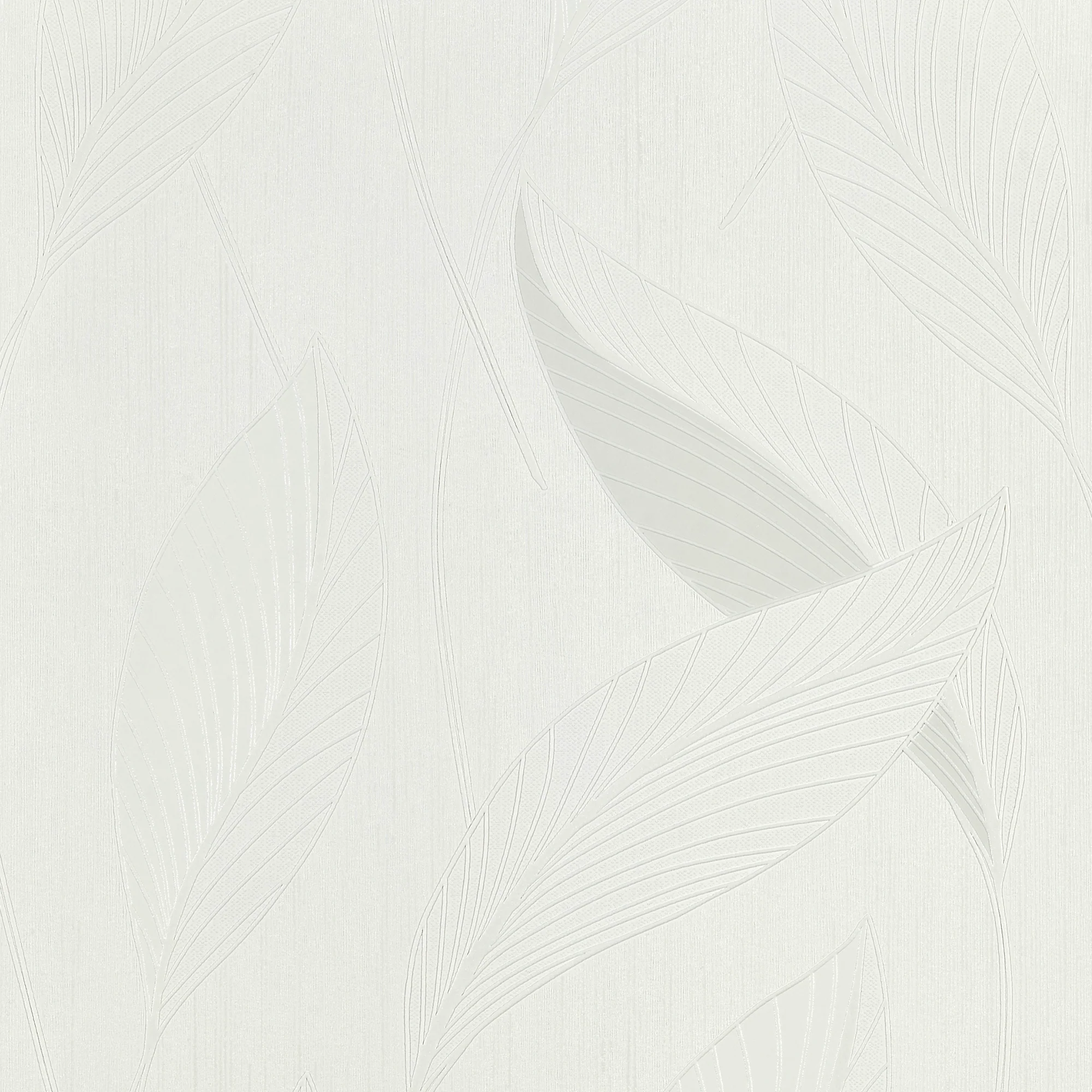 GLORIA - Image 5