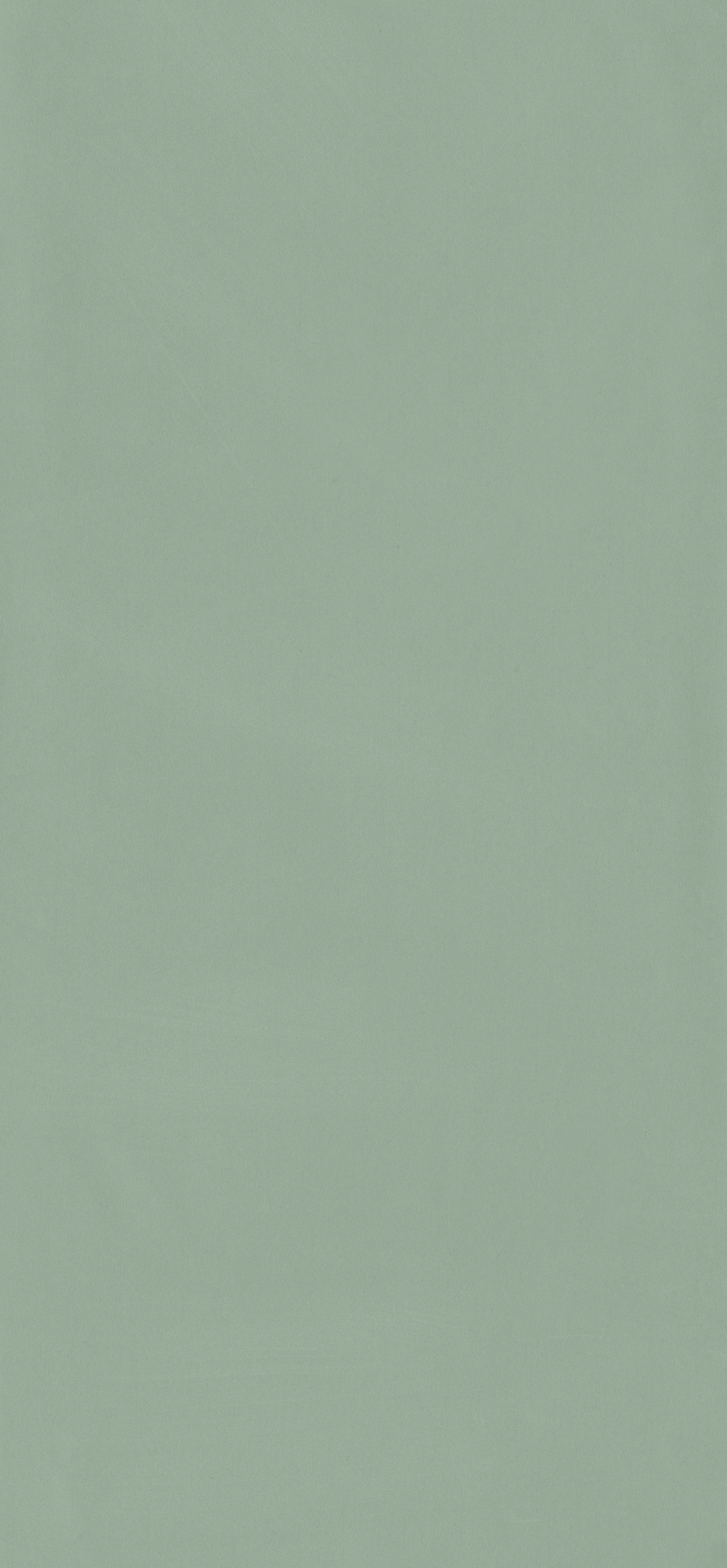 OPAL - Image 4