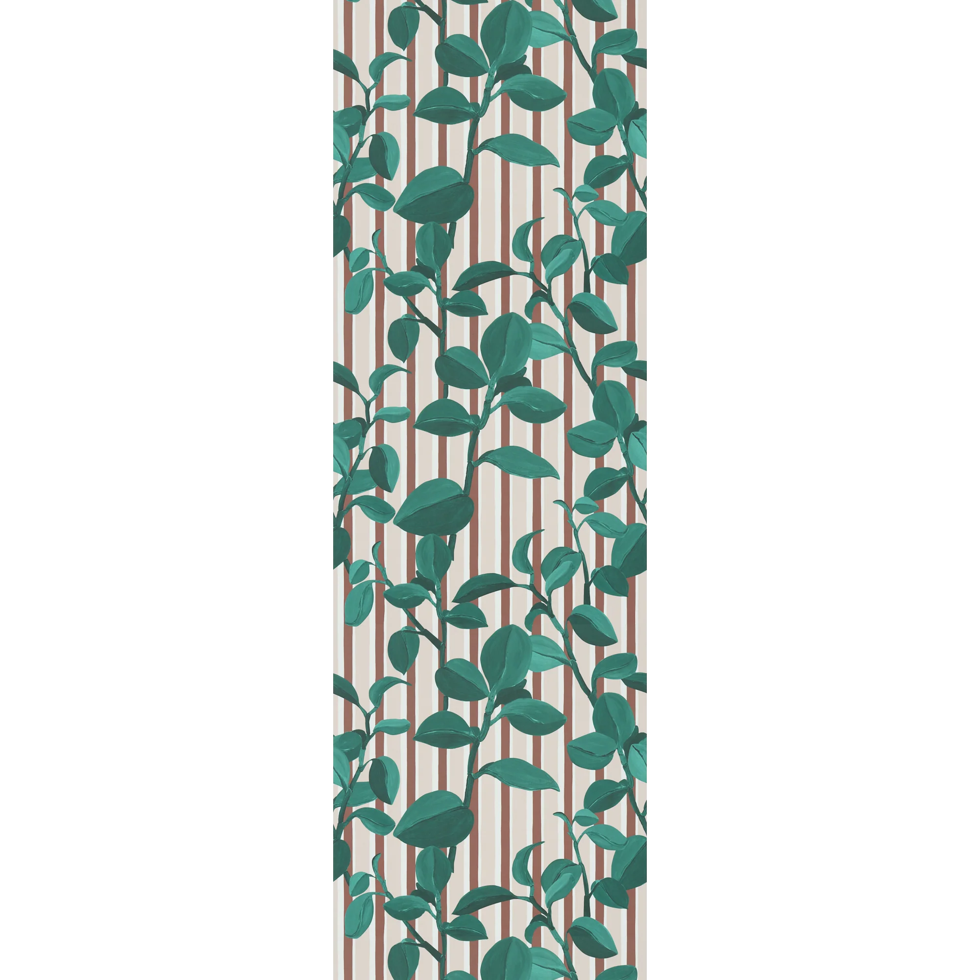 PEPEROMIA - Image 4