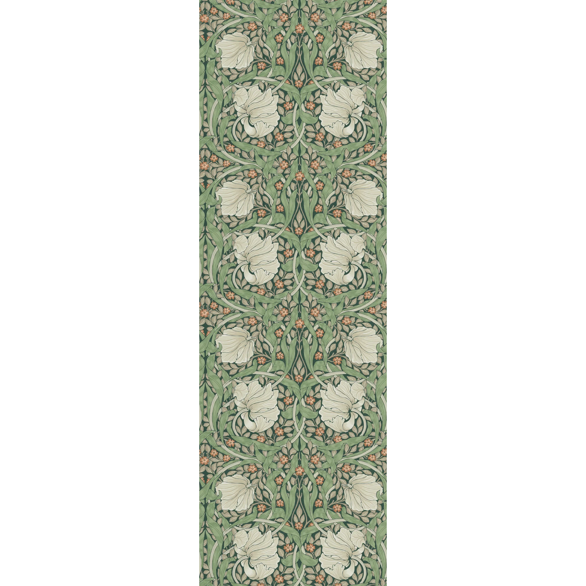 PIMPERNEL - Image 3