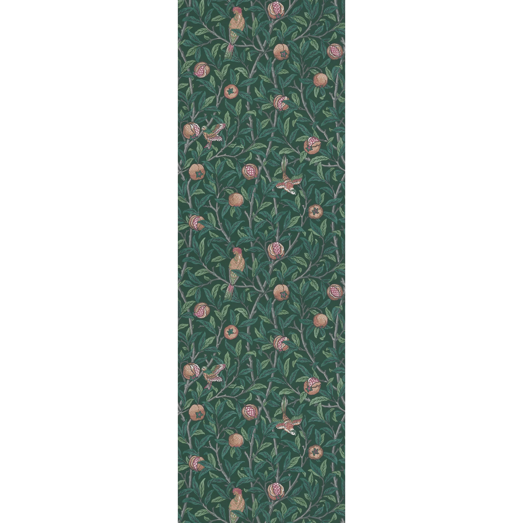 POMEGRANATE - Image 3