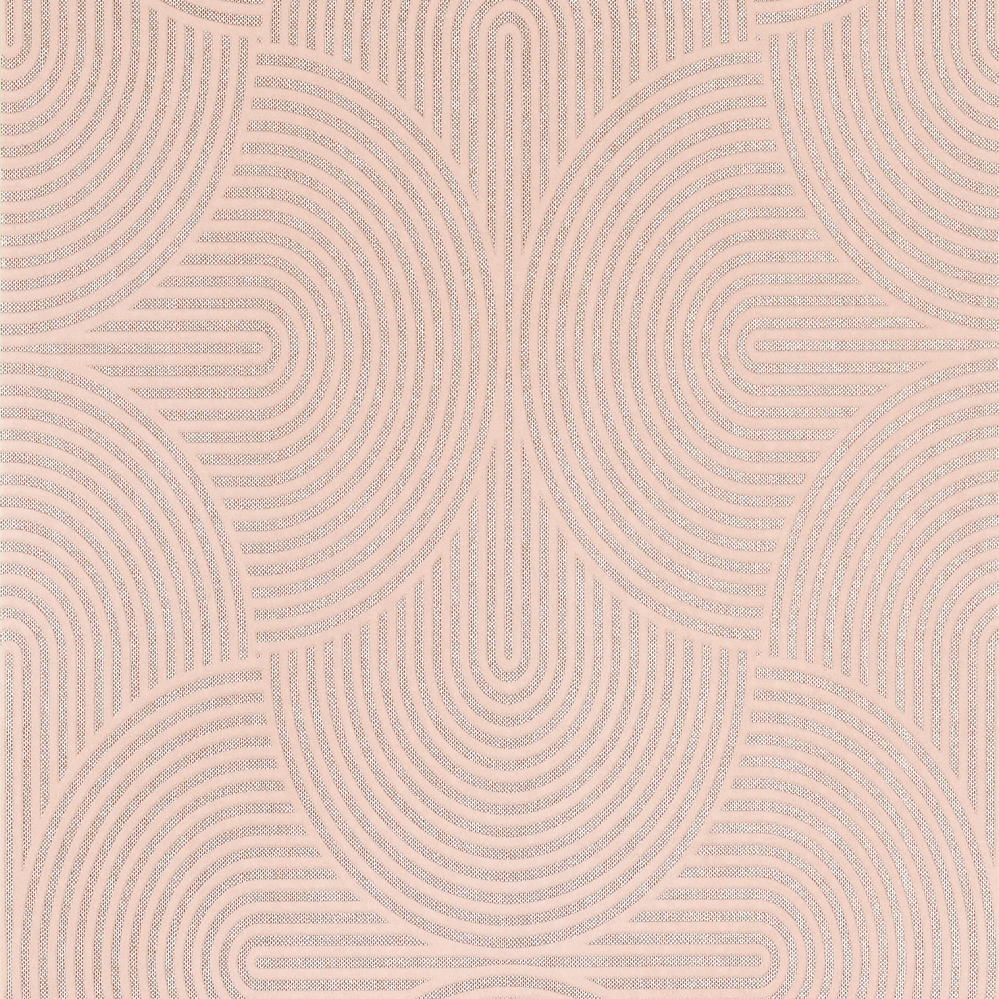 RAFAELLA - Image 5