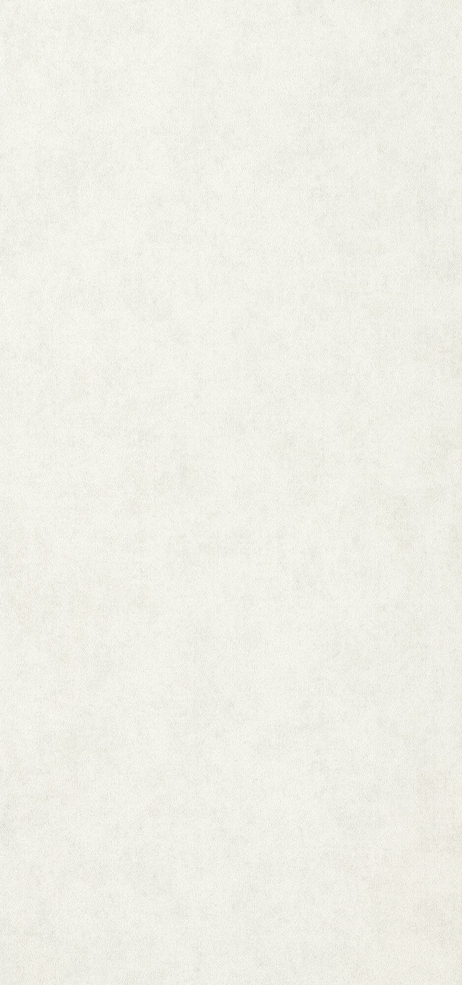 SOFT - Image 4