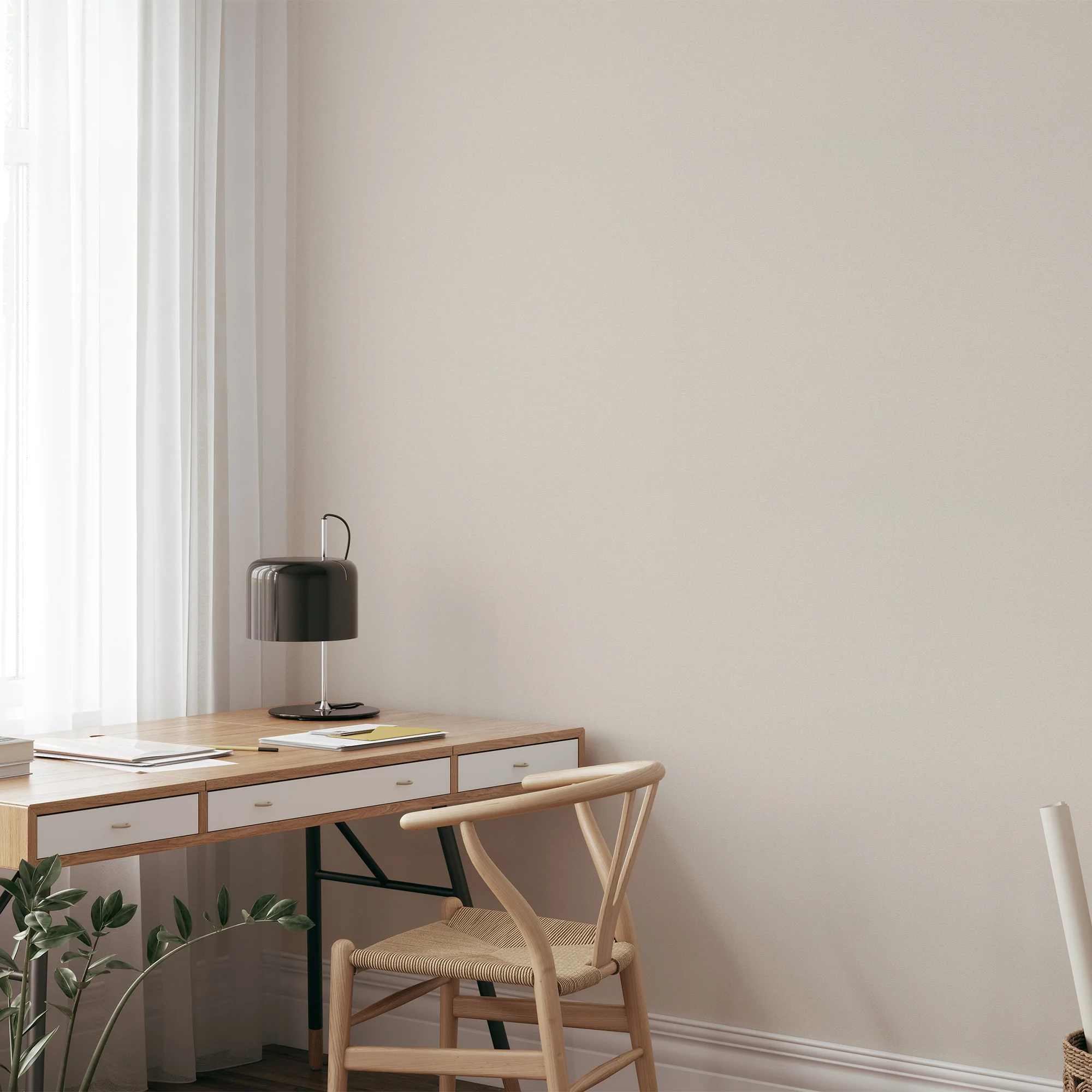 Soft Line - Image 3