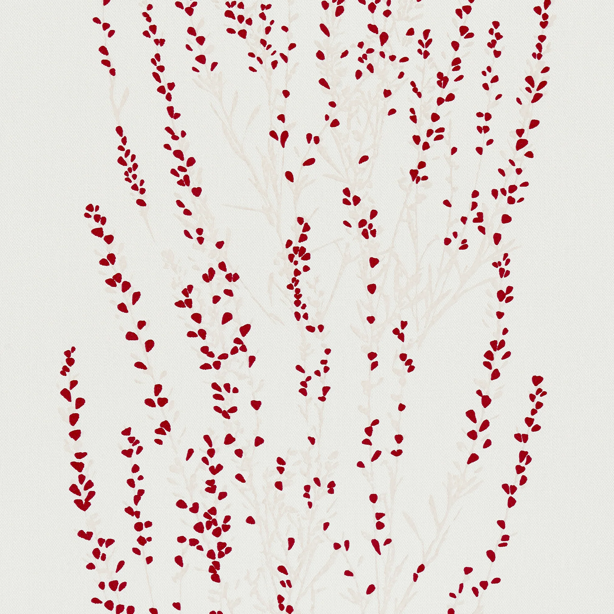 SOPHIA - Image 5