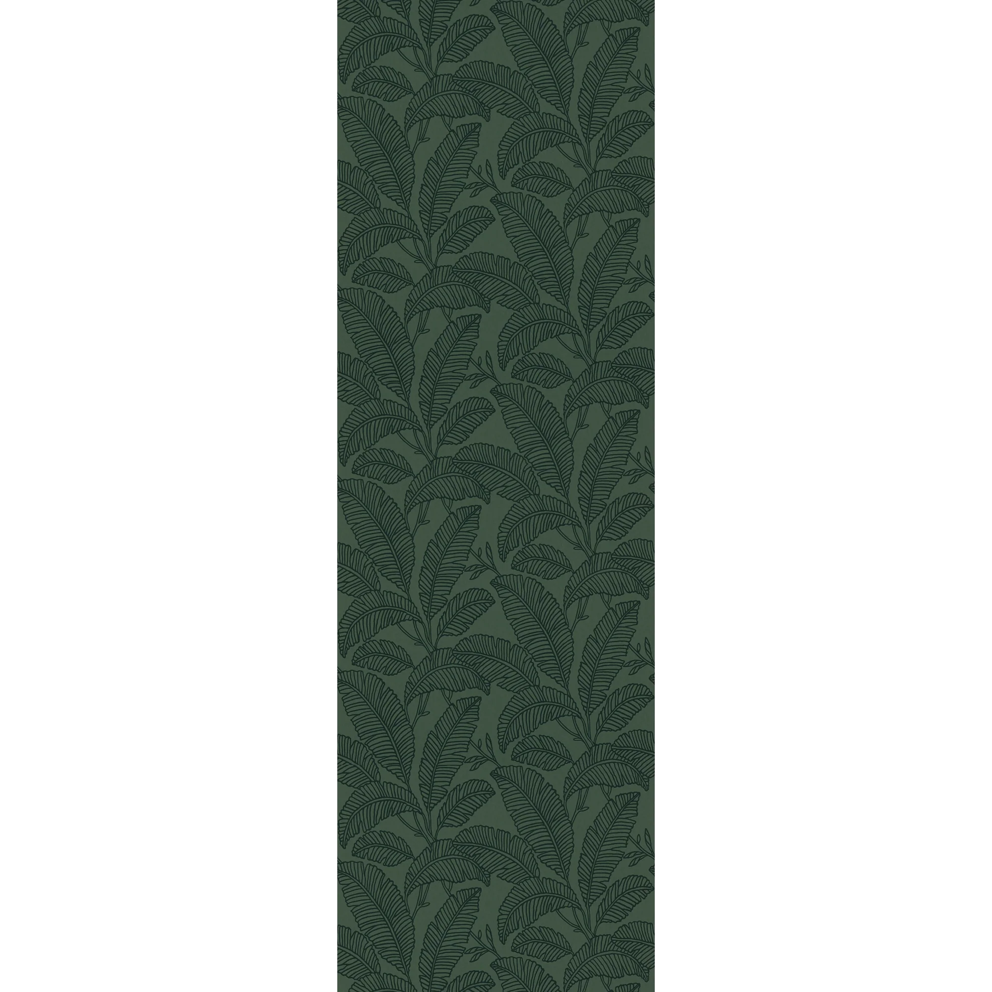 TEORA - Image 4