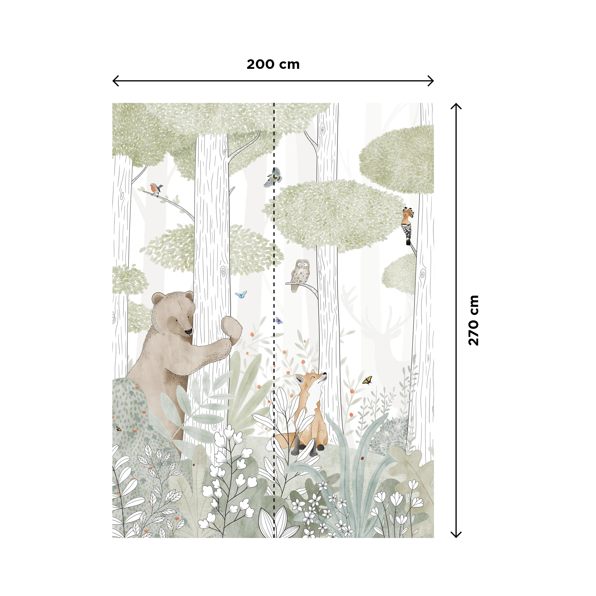 CALM FOREST SMALL LIFE - Image 3