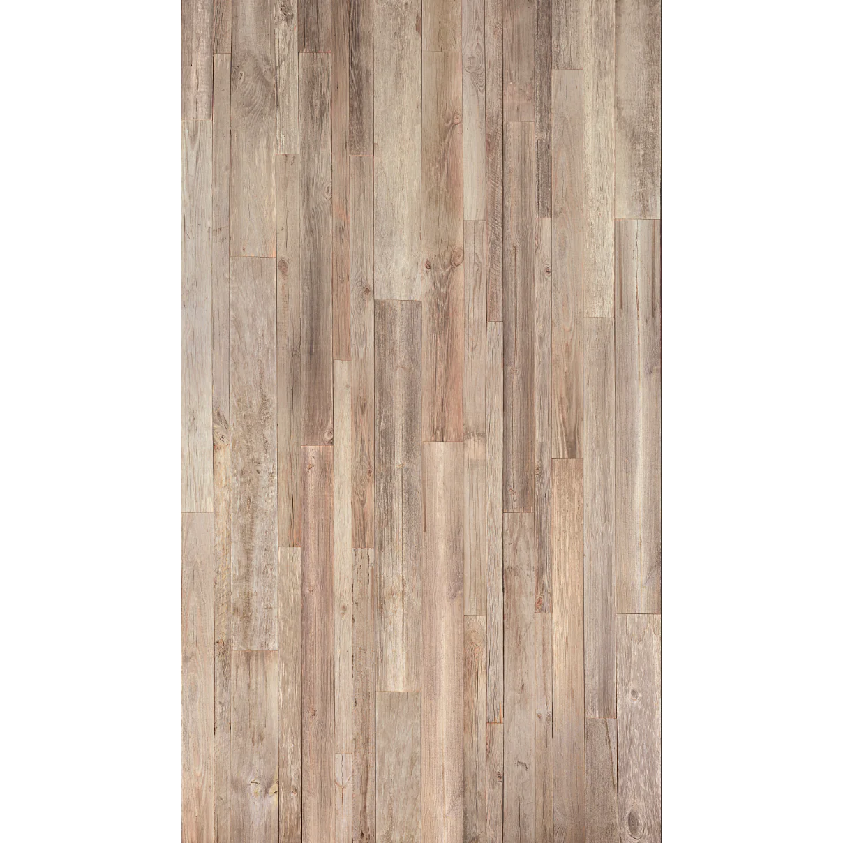 CASSIEN - Image 2