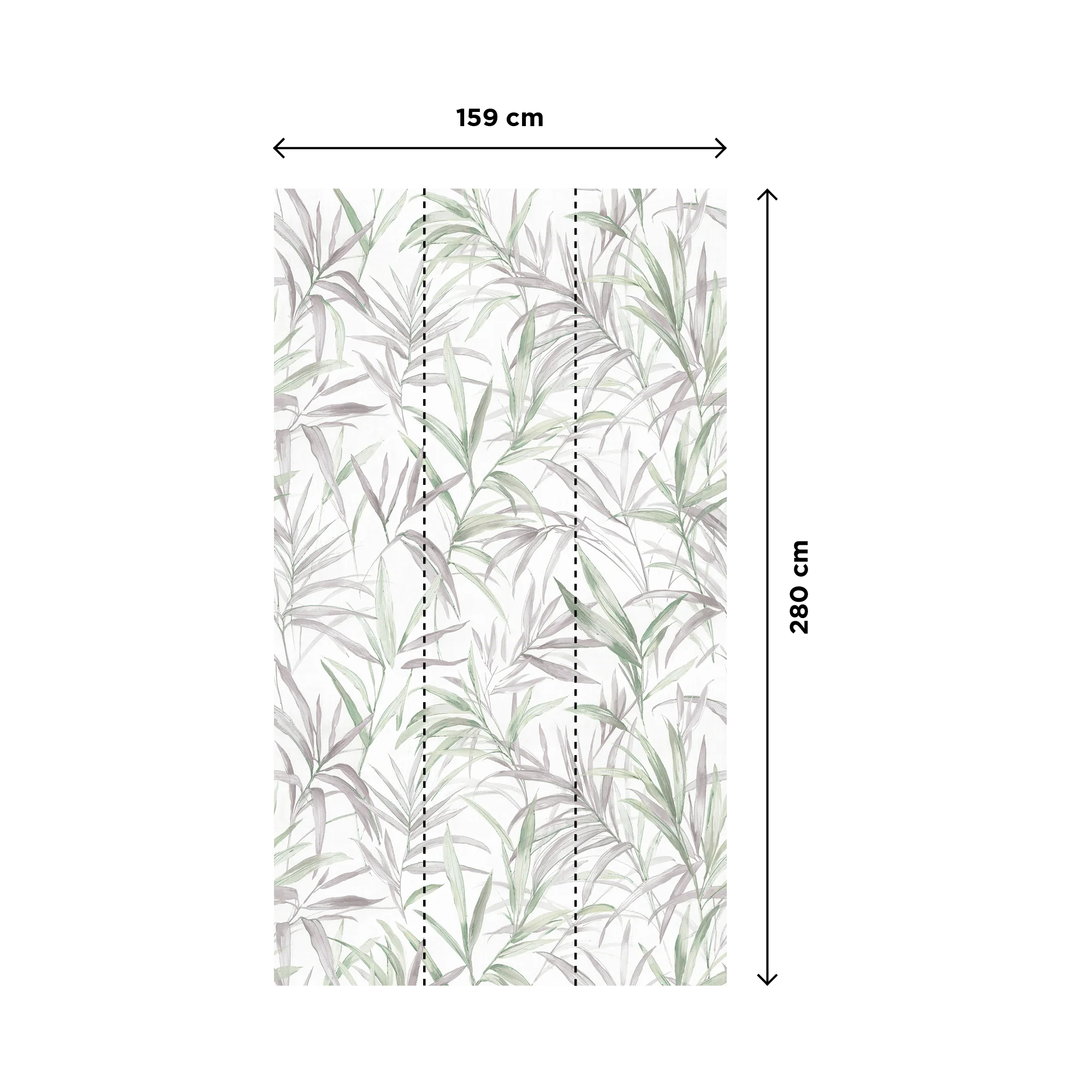 CECILIA - Image 3