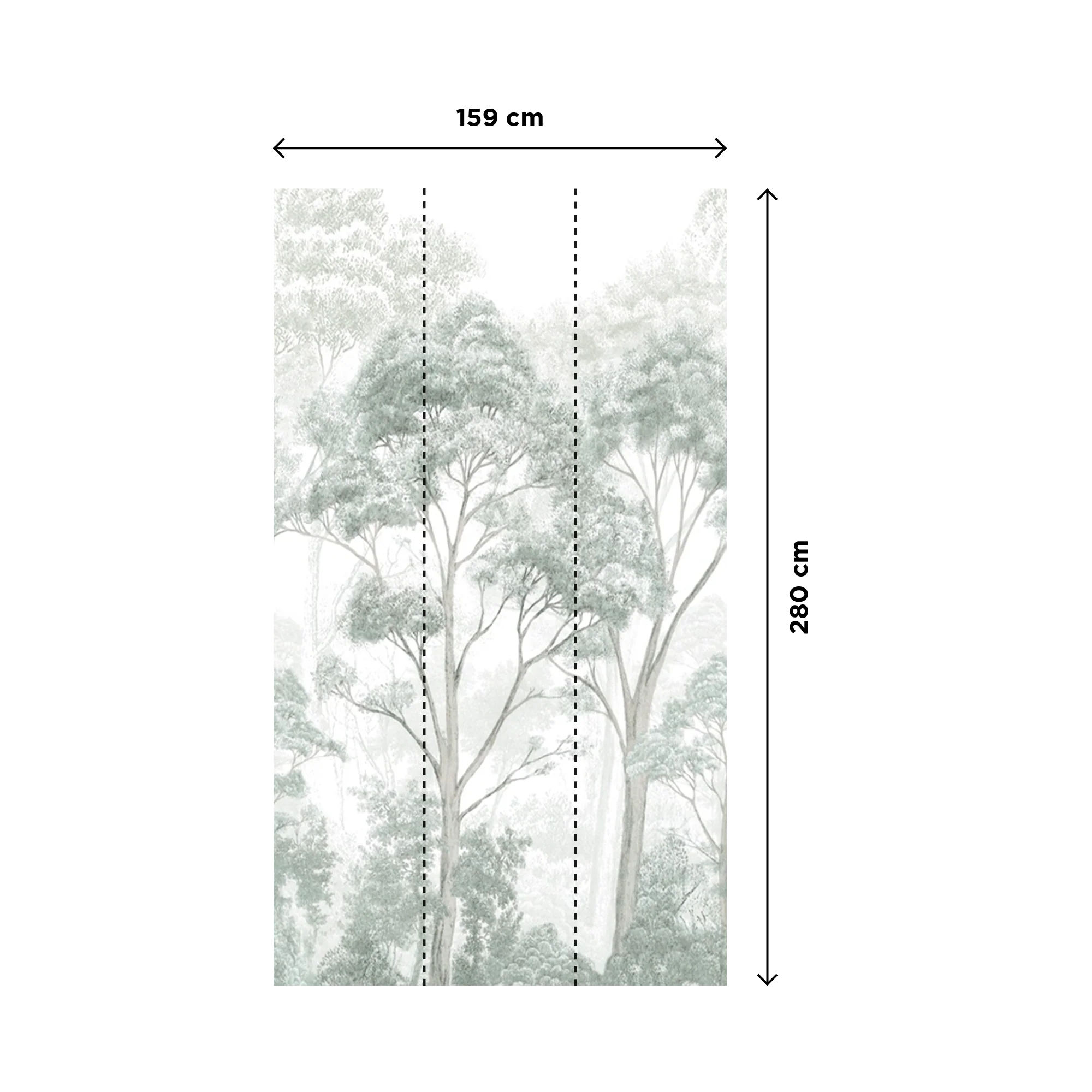 LEONARD - Image 3