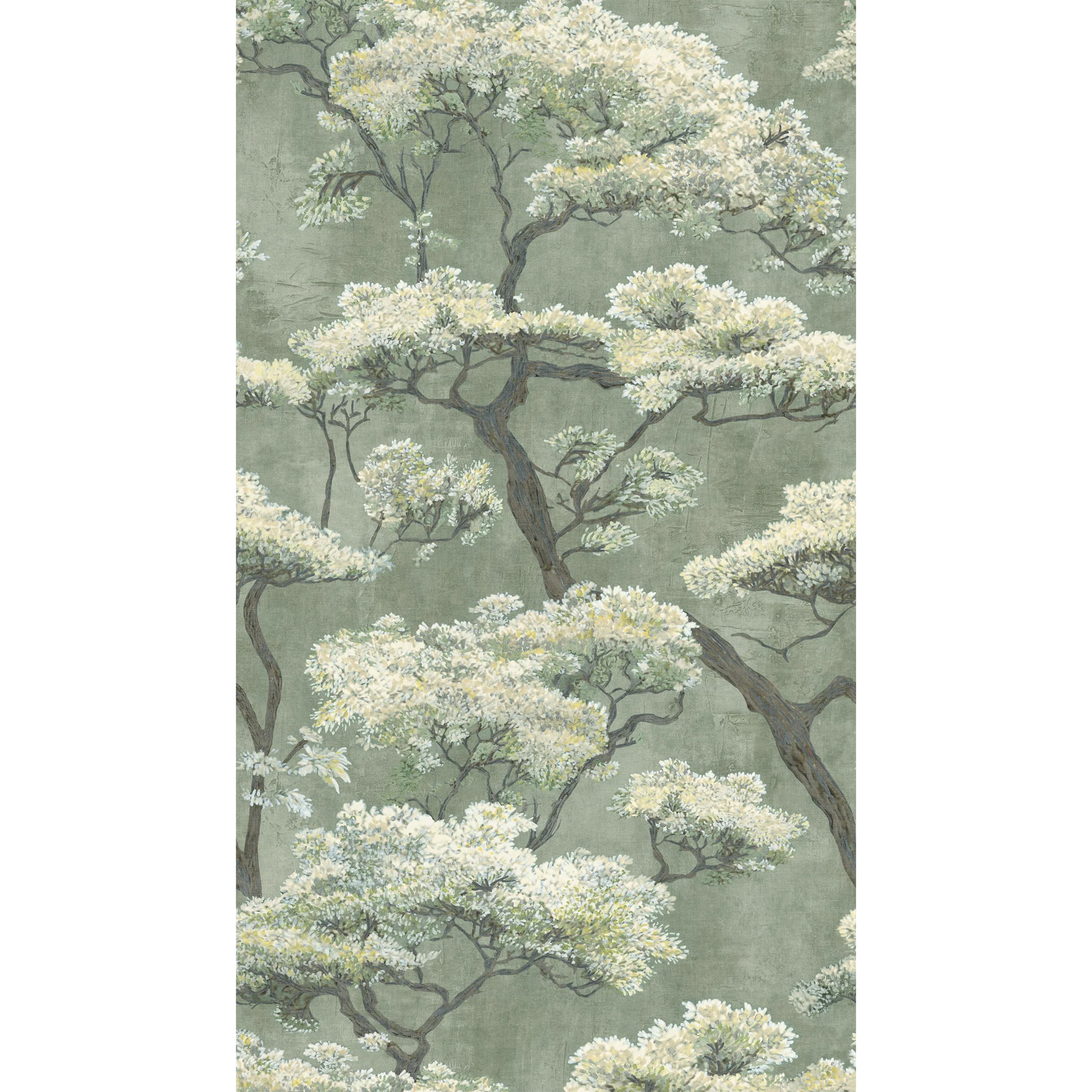 MATSUBARA - Image 2