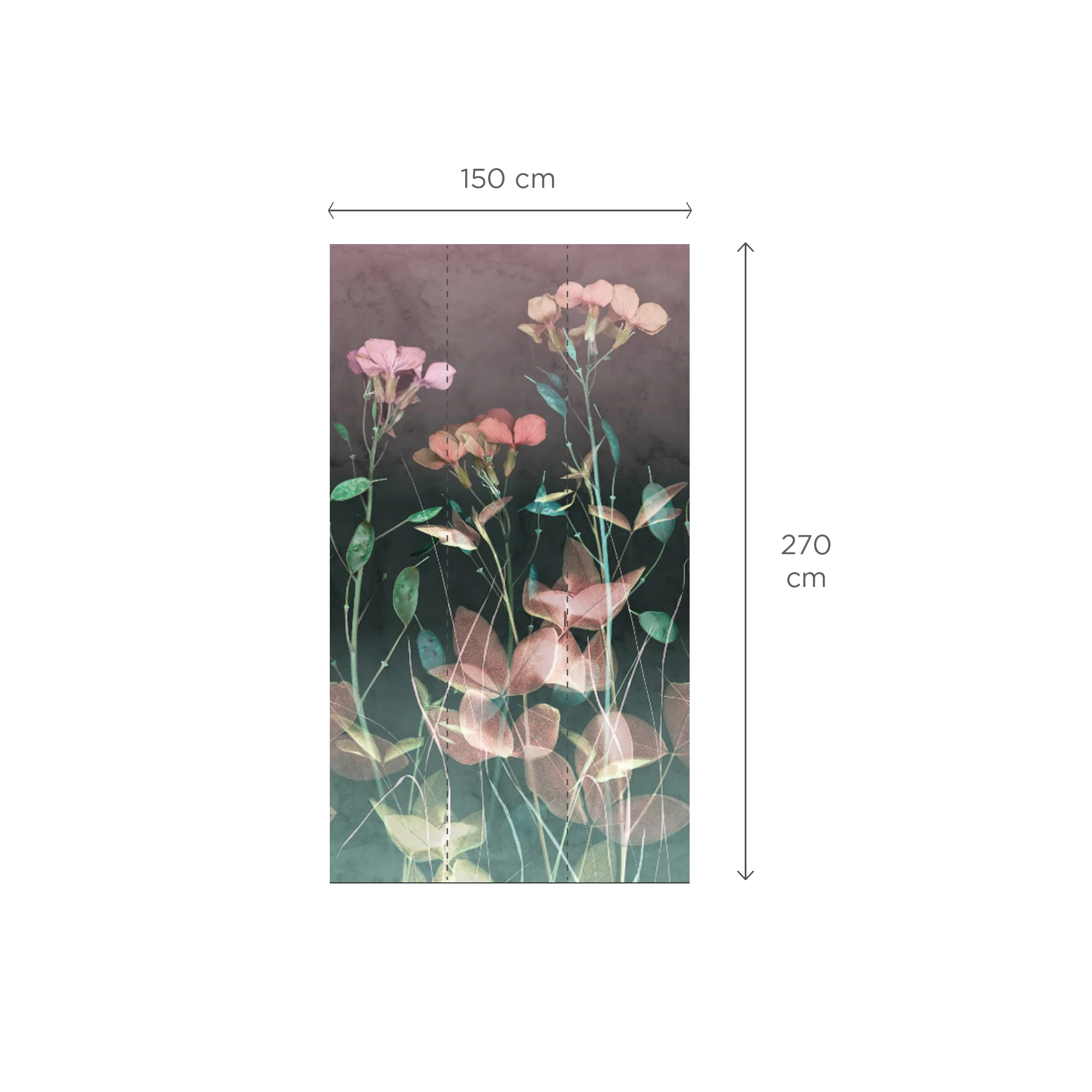 OMBELIA - Image 3