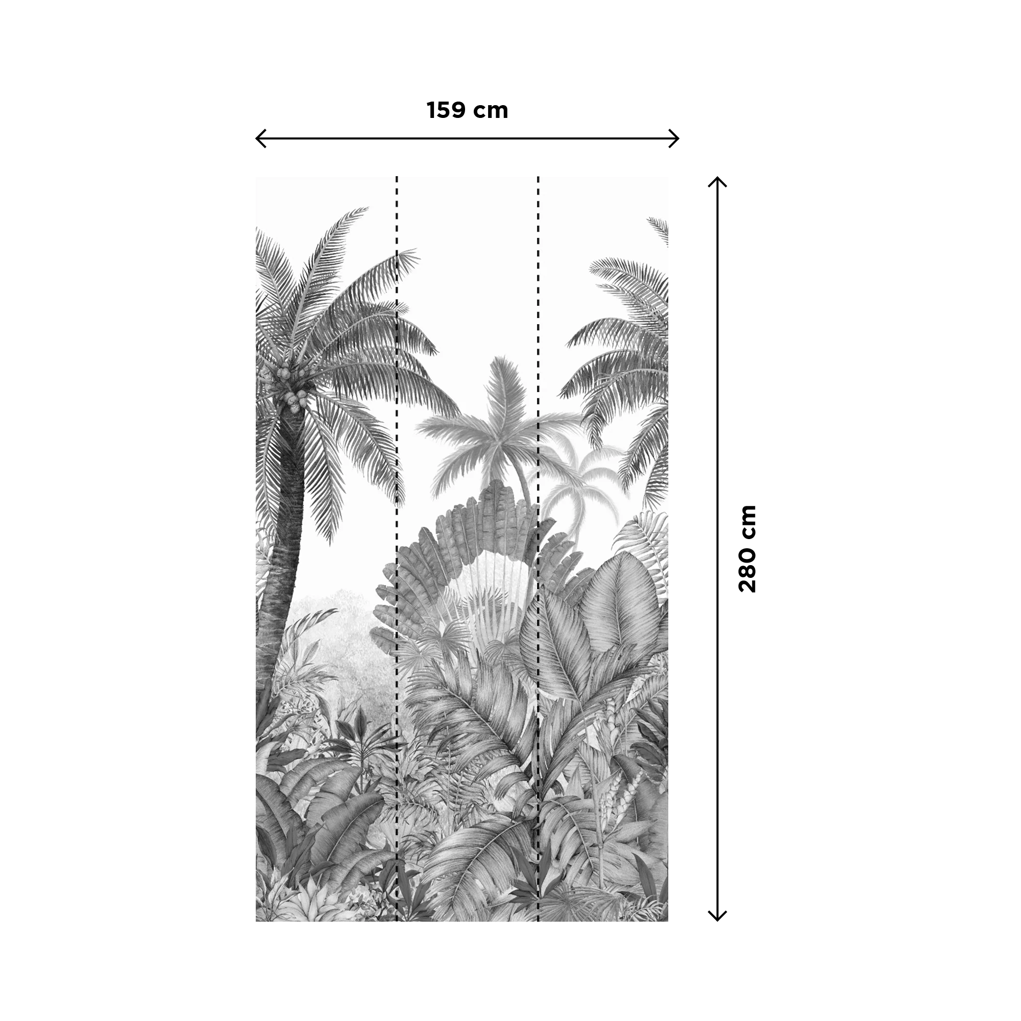 PARADISIO - Image 3