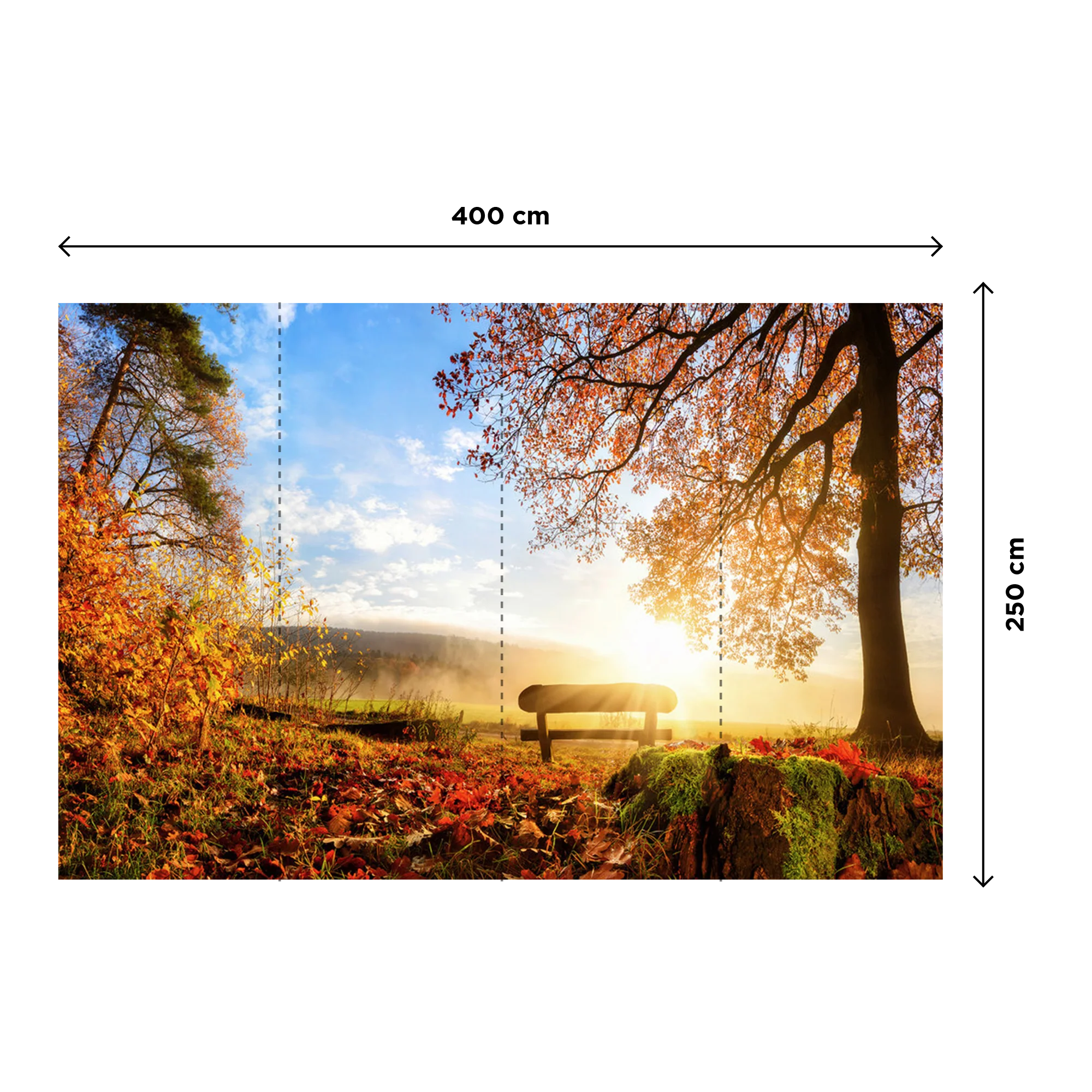 AUTUMN - Image 3