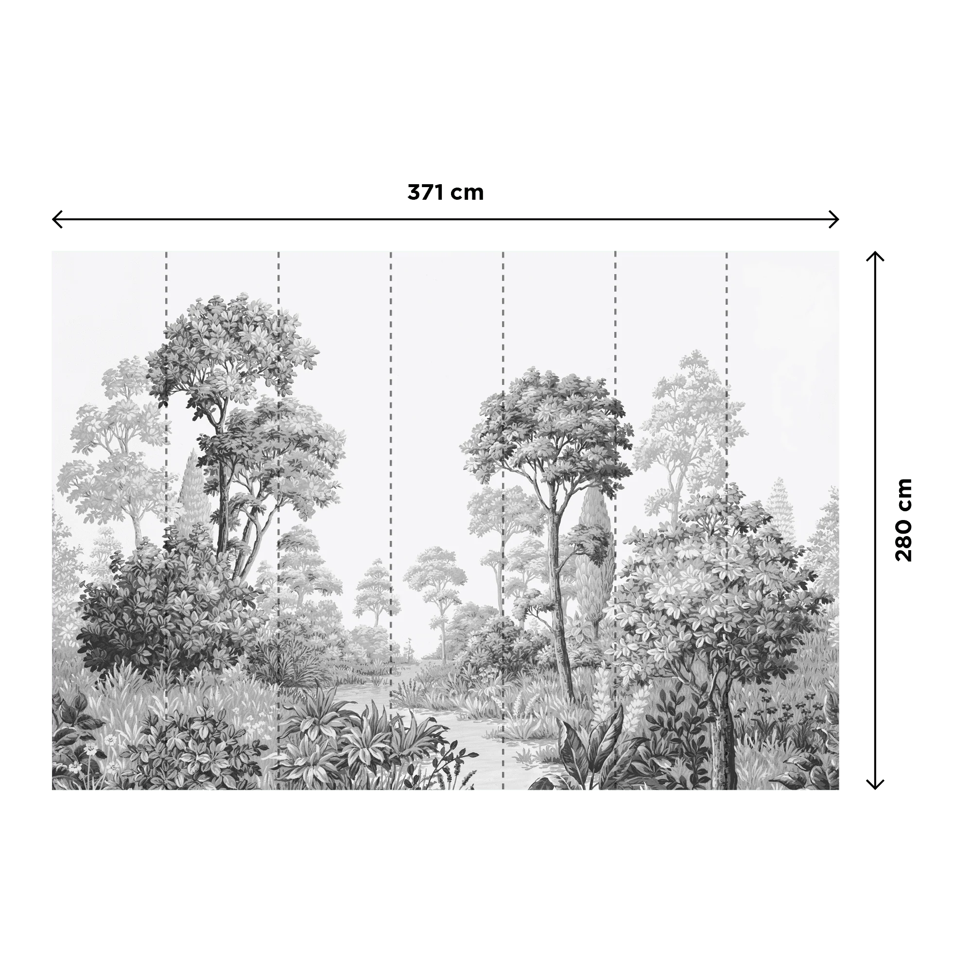 BEAULIEU - Image 3