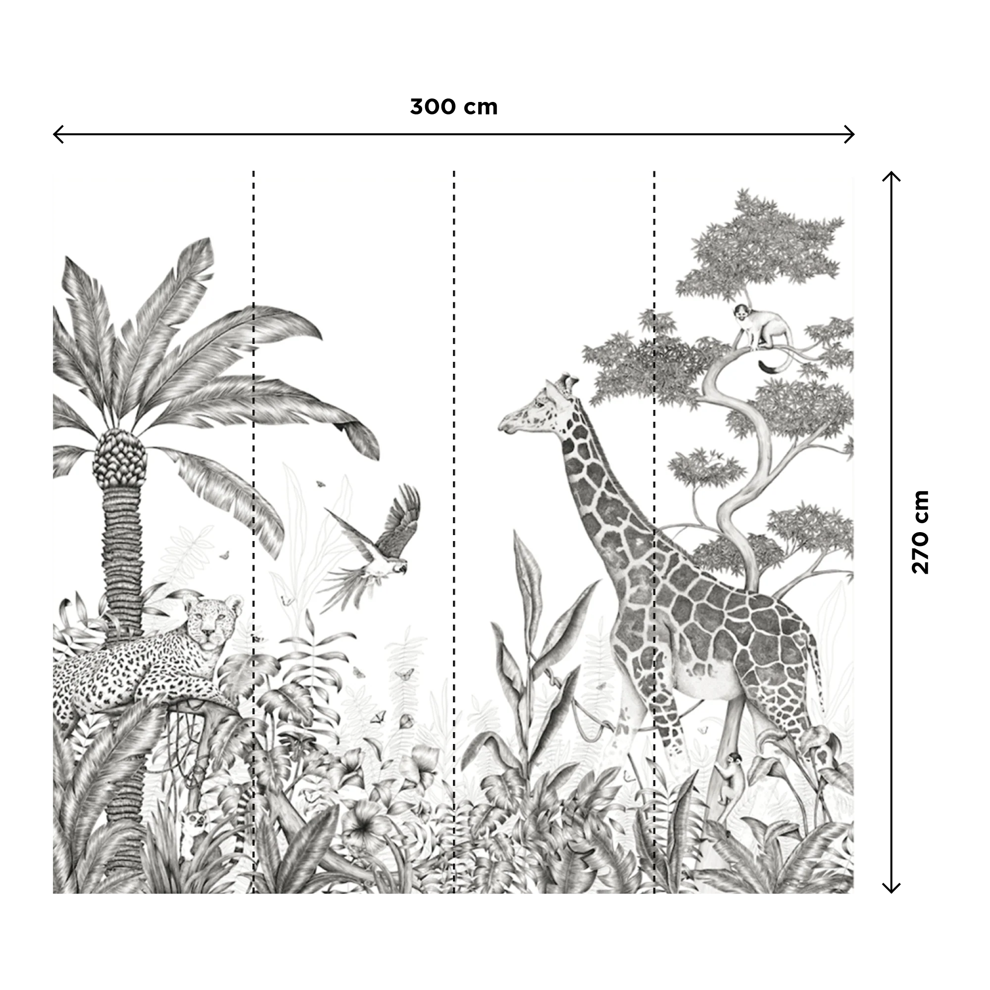 BLACK JUNGLE - Image 3