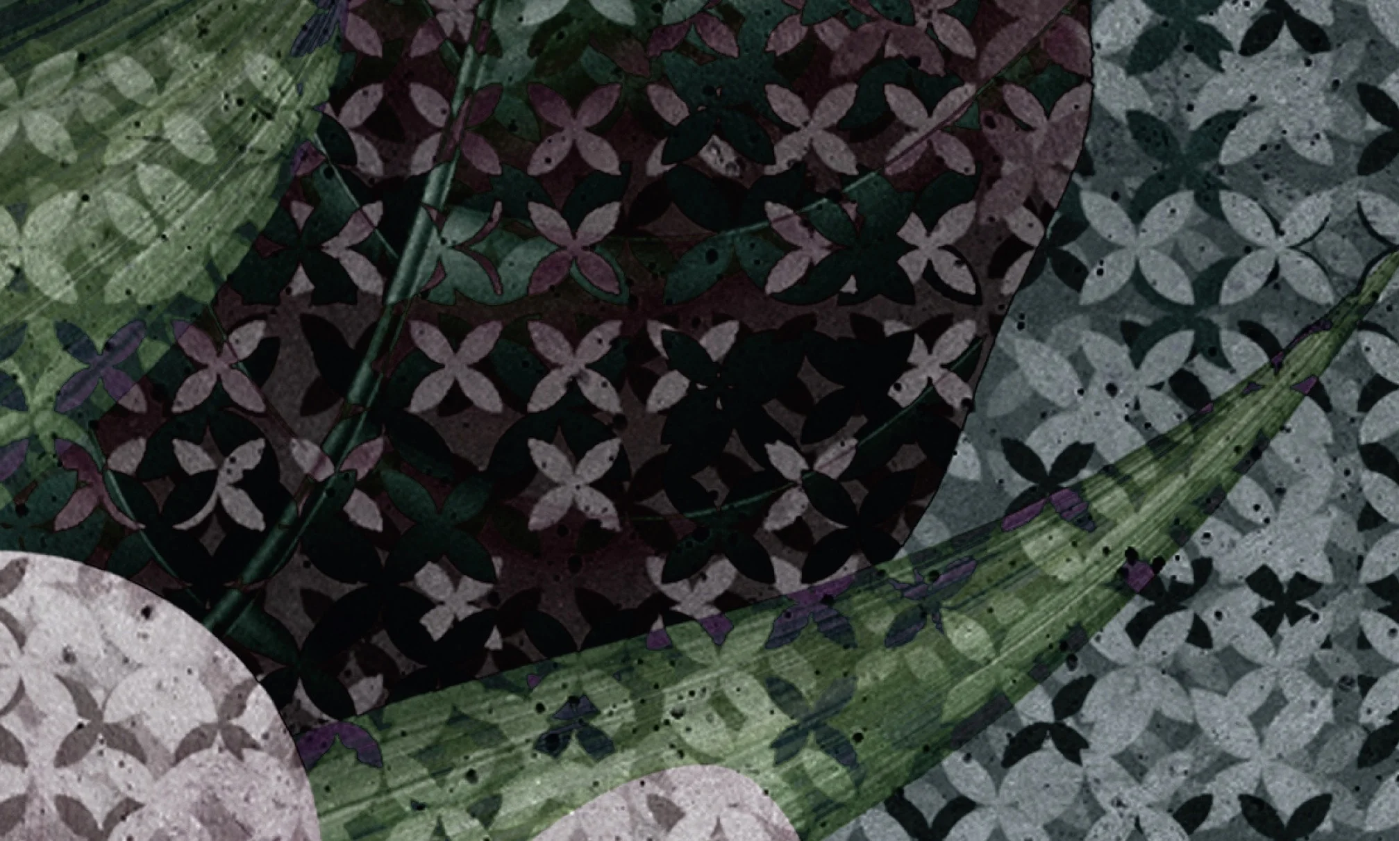 BLOMSTER - Image 4