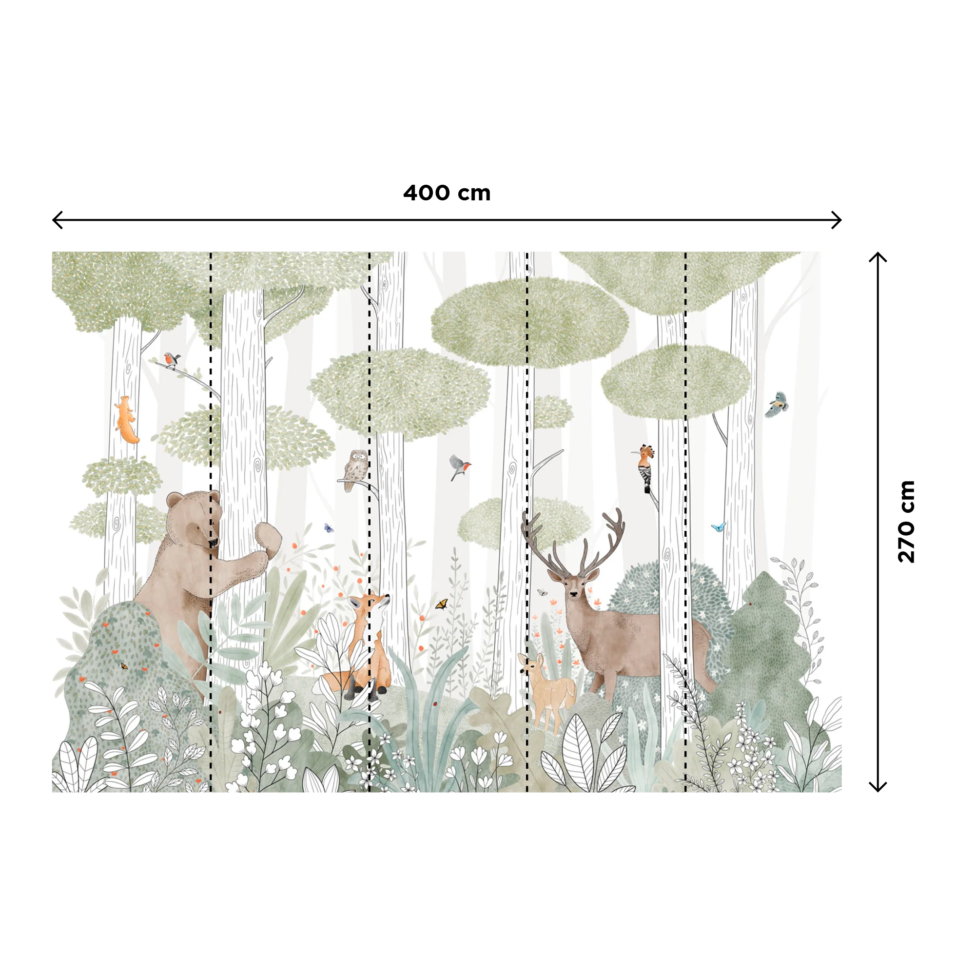 CALM FOREST LIFE - Image 3