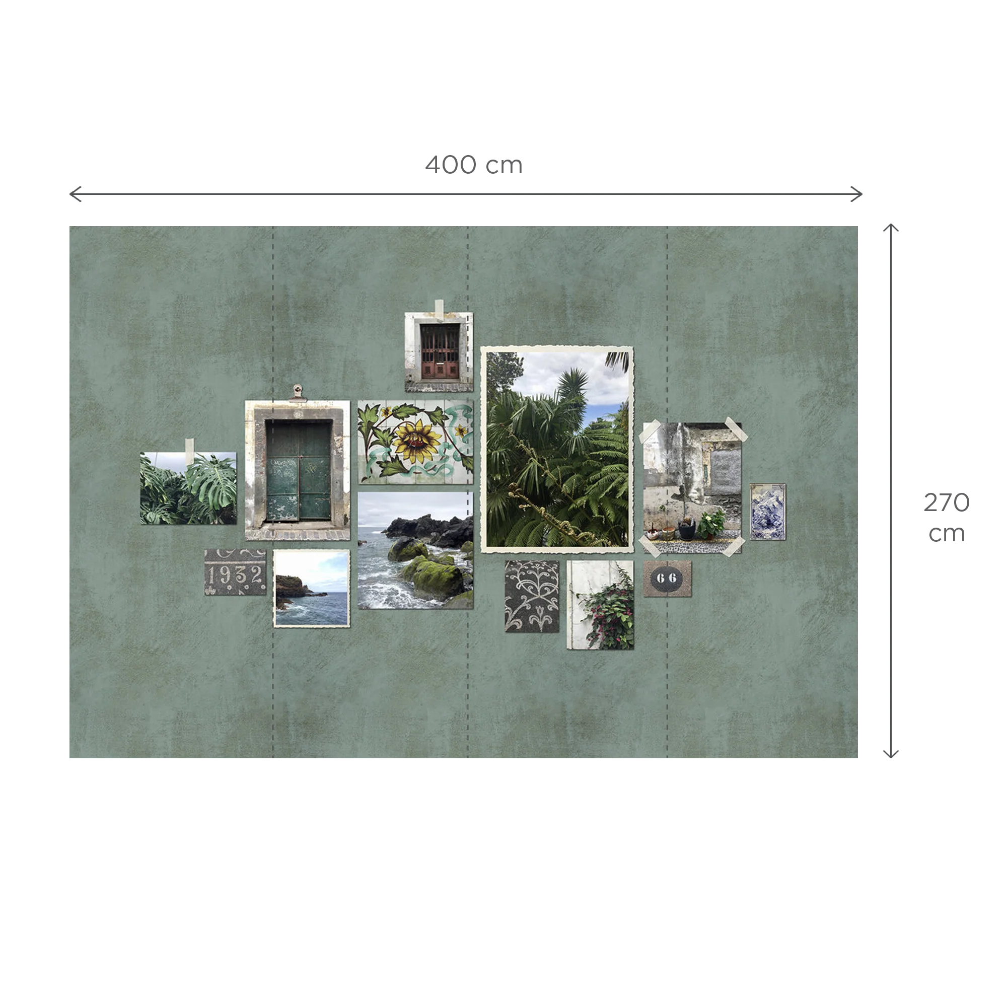 CARIOTA - Image 3