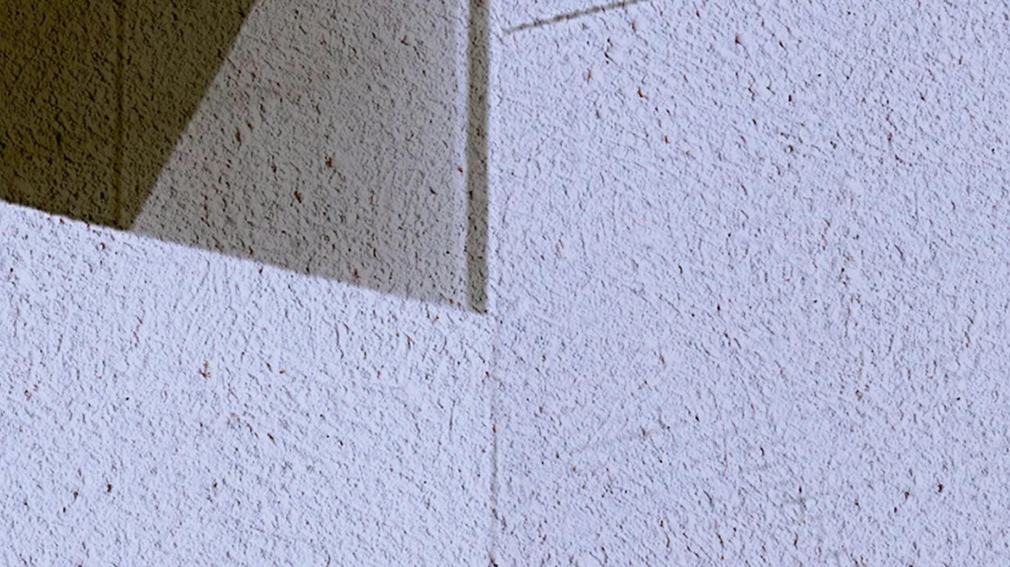 CIUDAD - Image 4