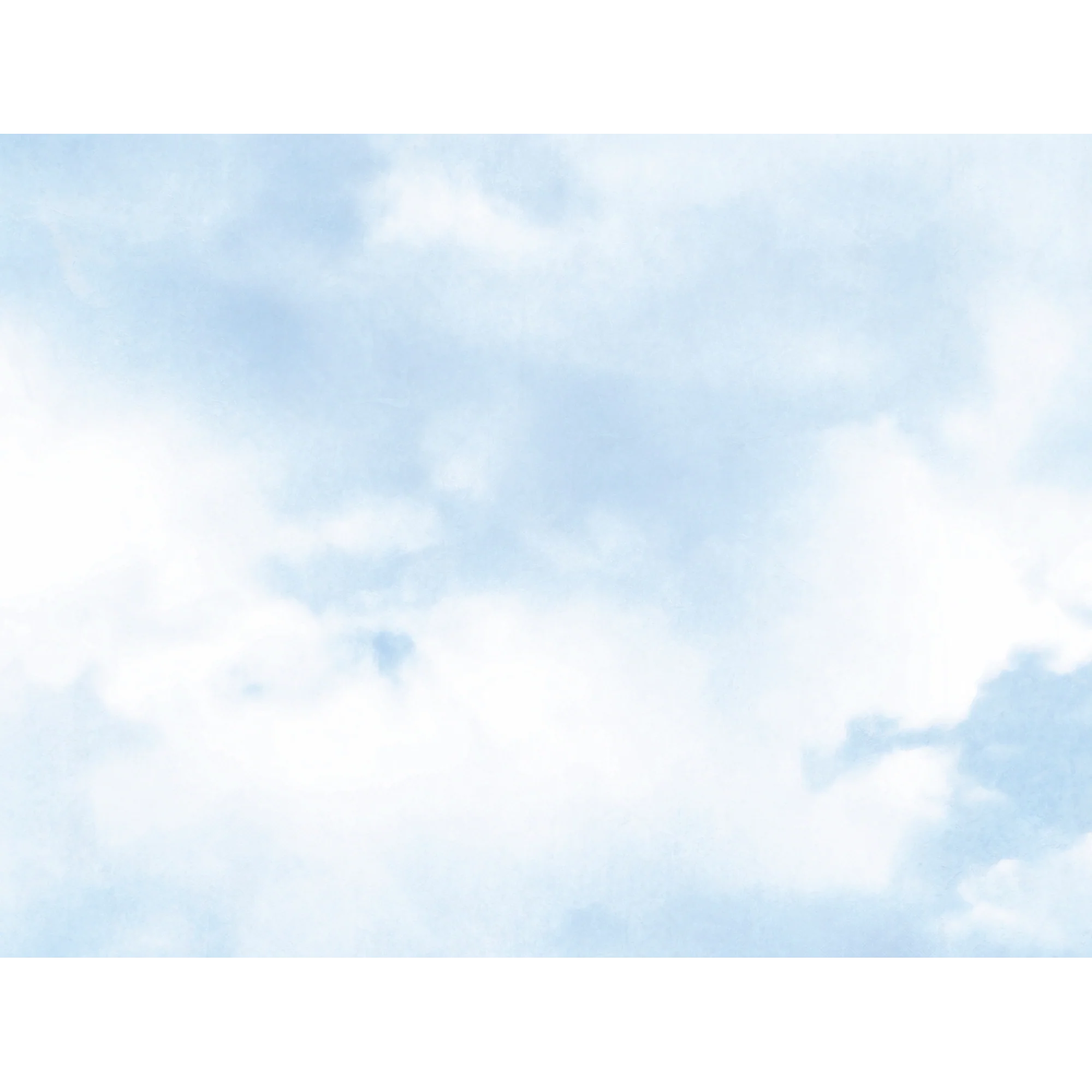 COTTONSKY - Image 2