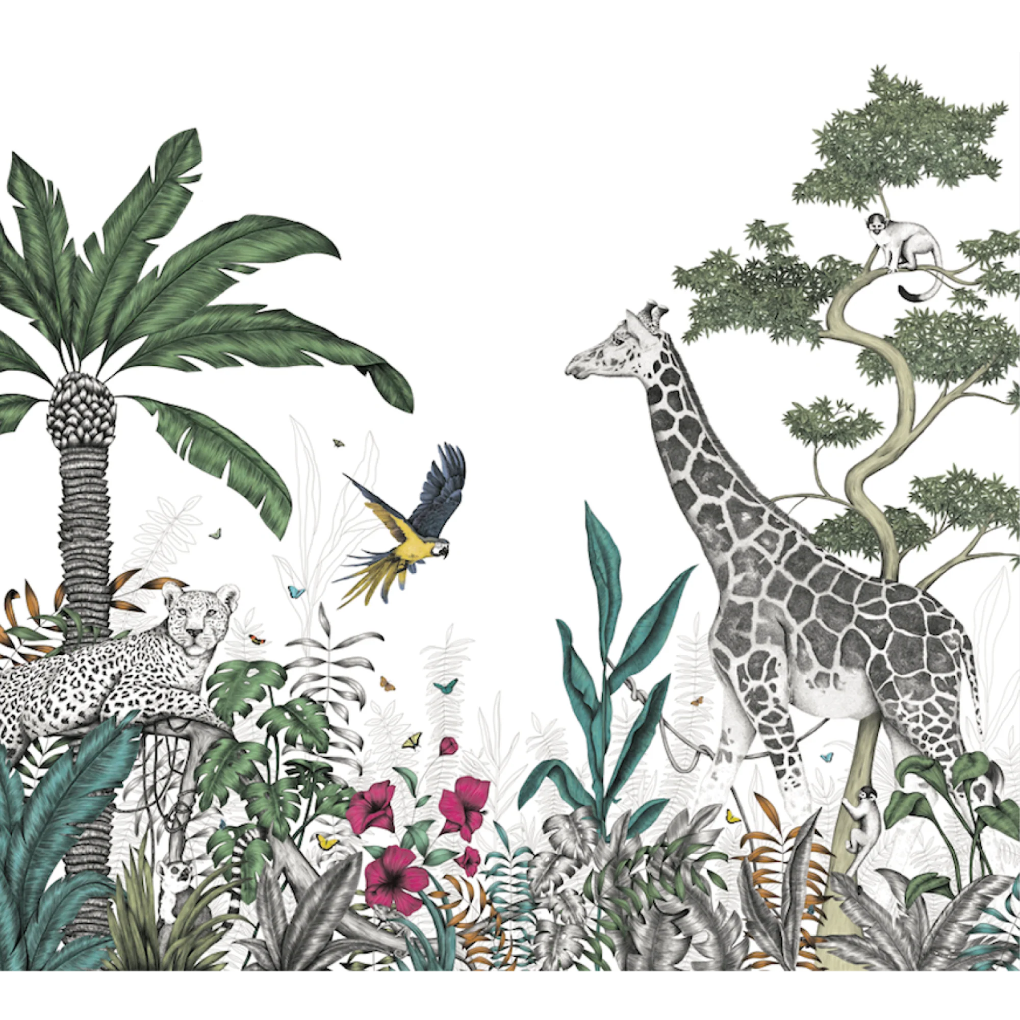 DAY COLOR JUNGLE - Image 2