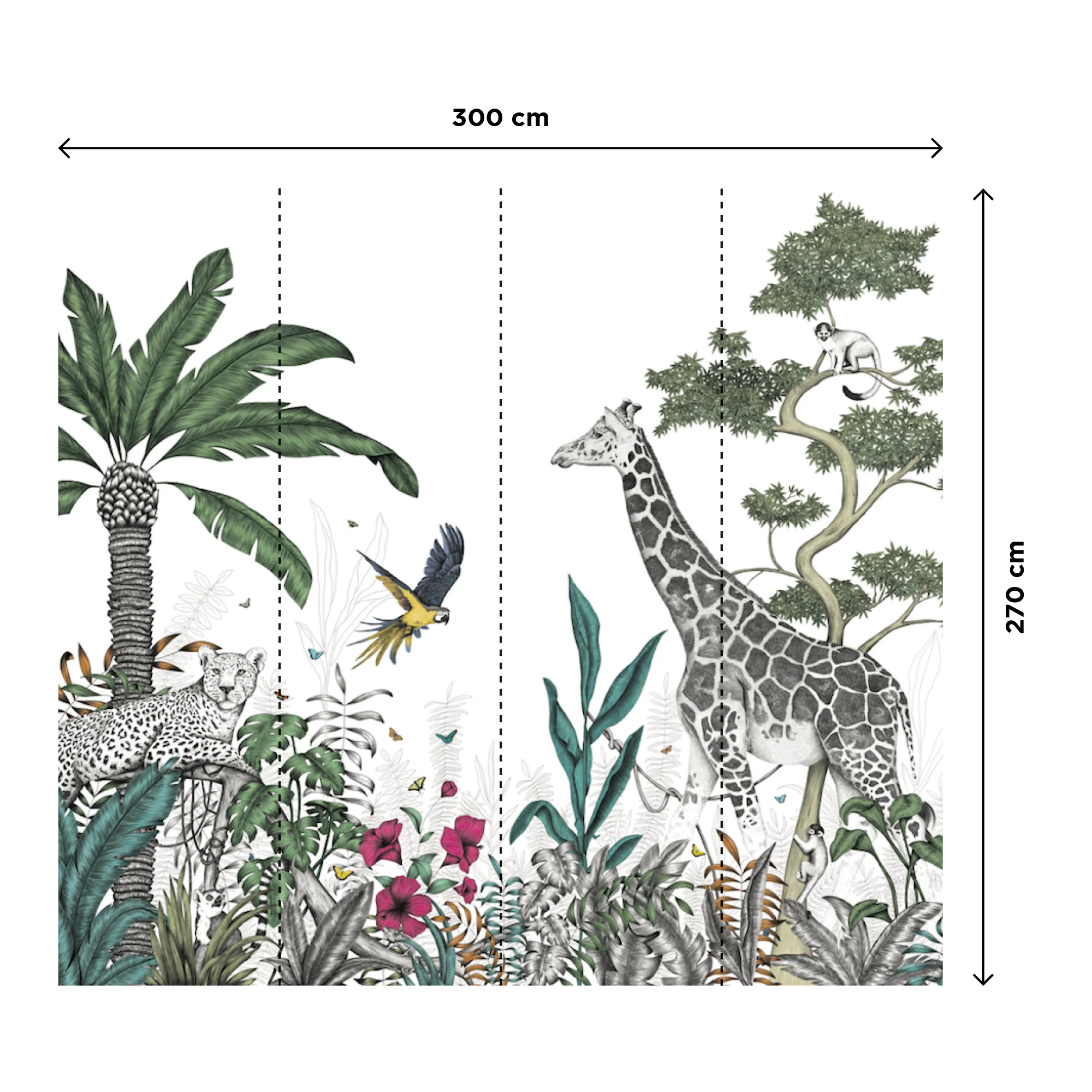 DAY COLOR JUNGLE - Image 3
