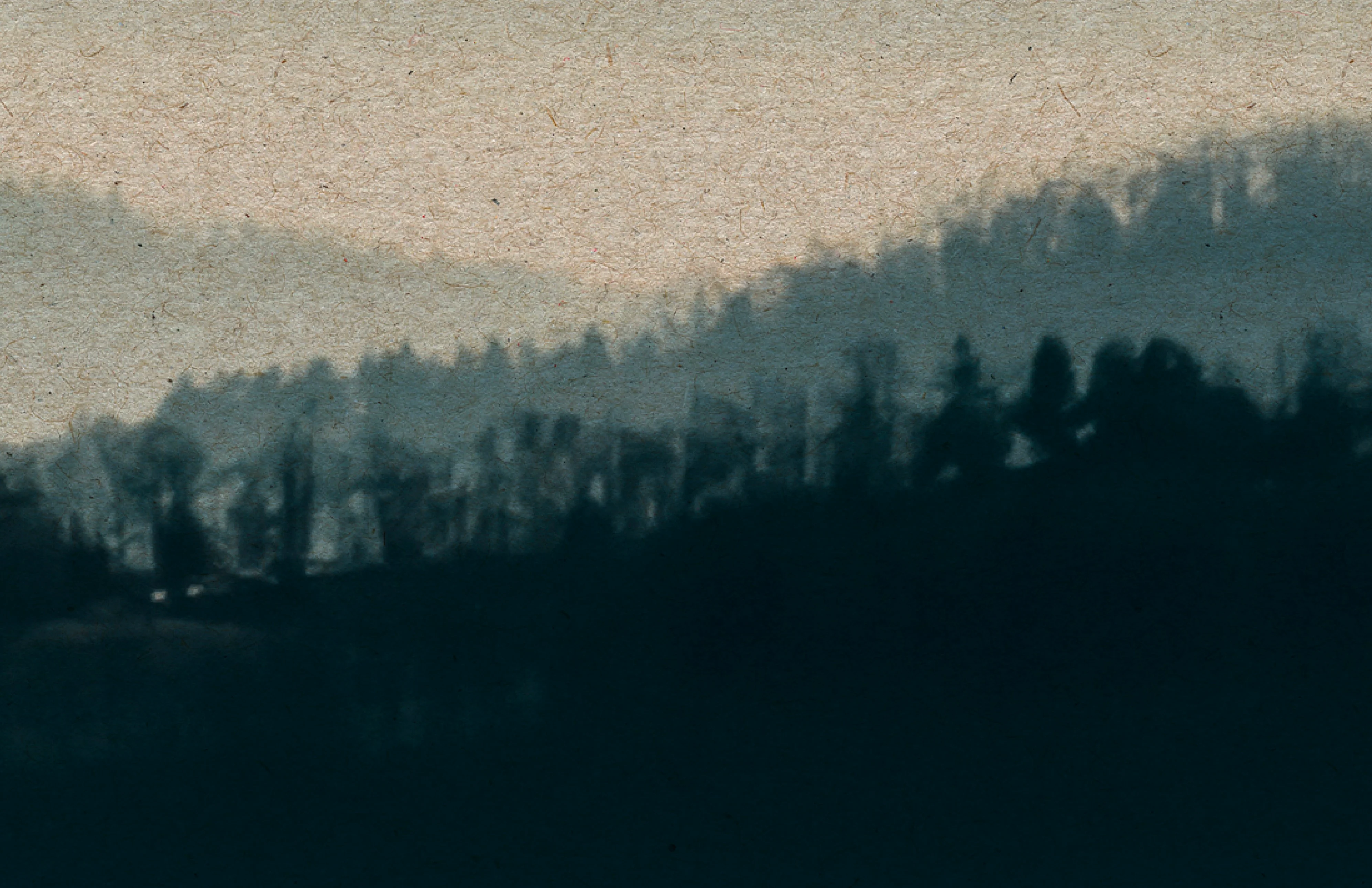 DENALI - Image 4