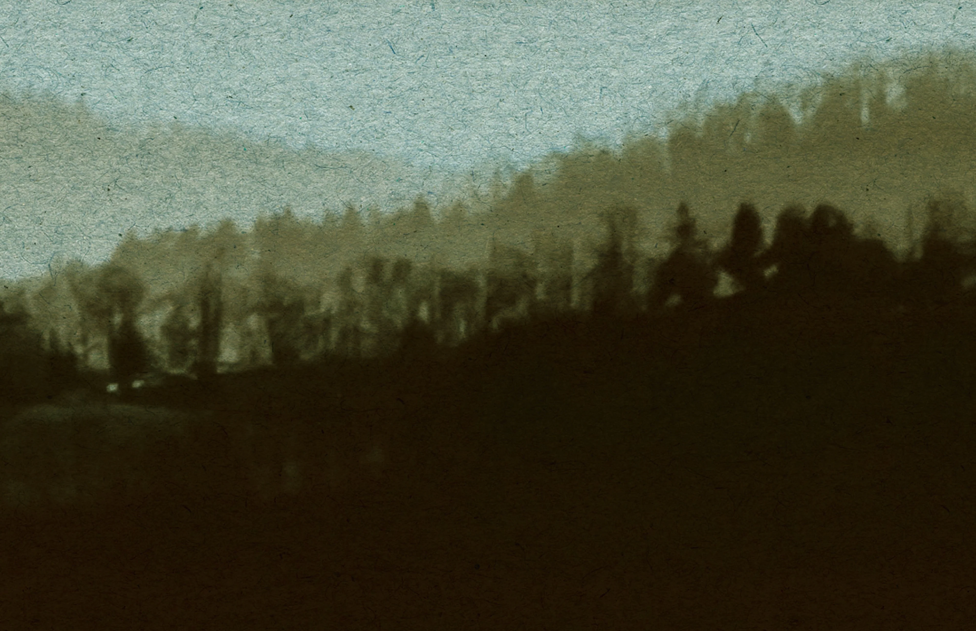 DENALI - Image 4