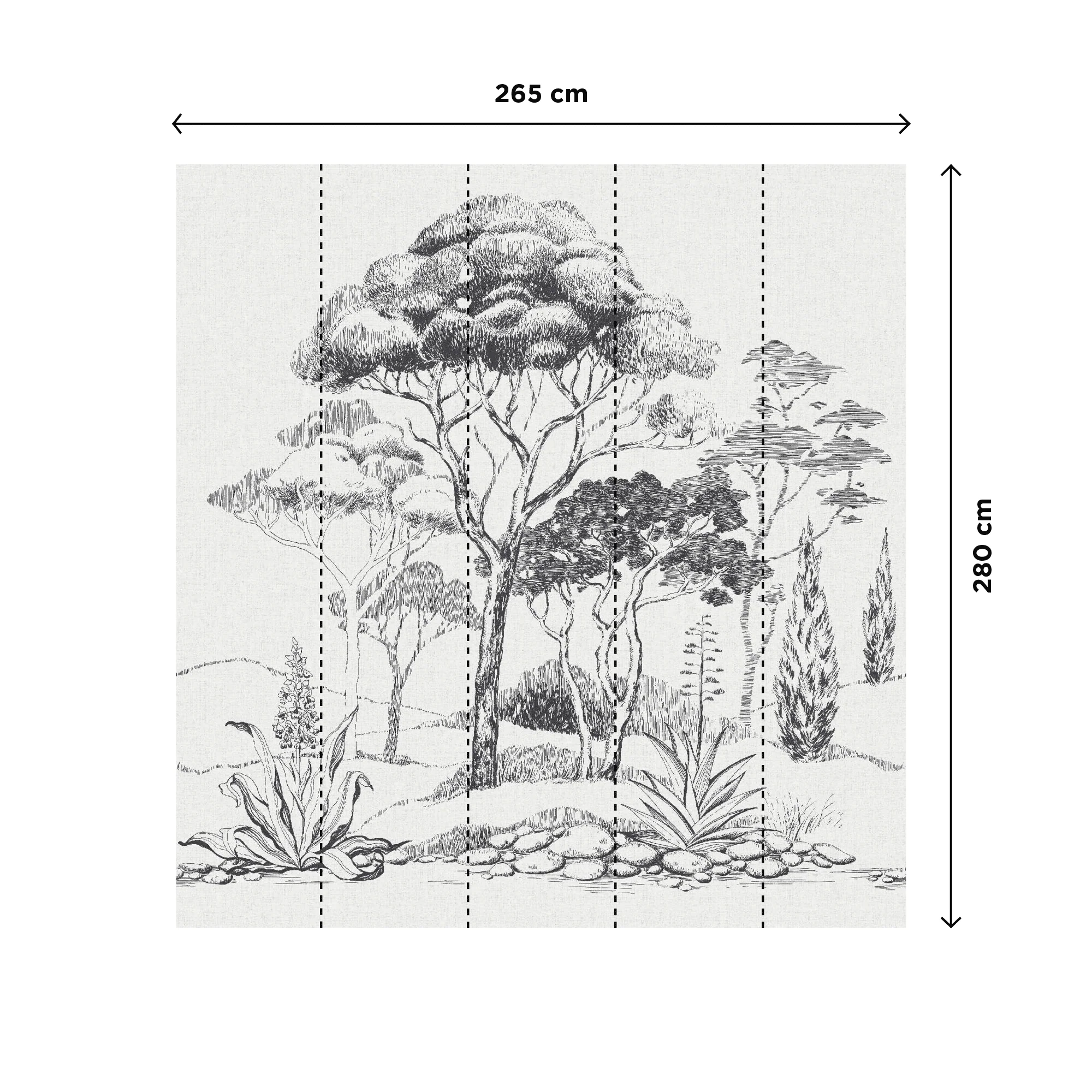 DIGNAC - Image 3