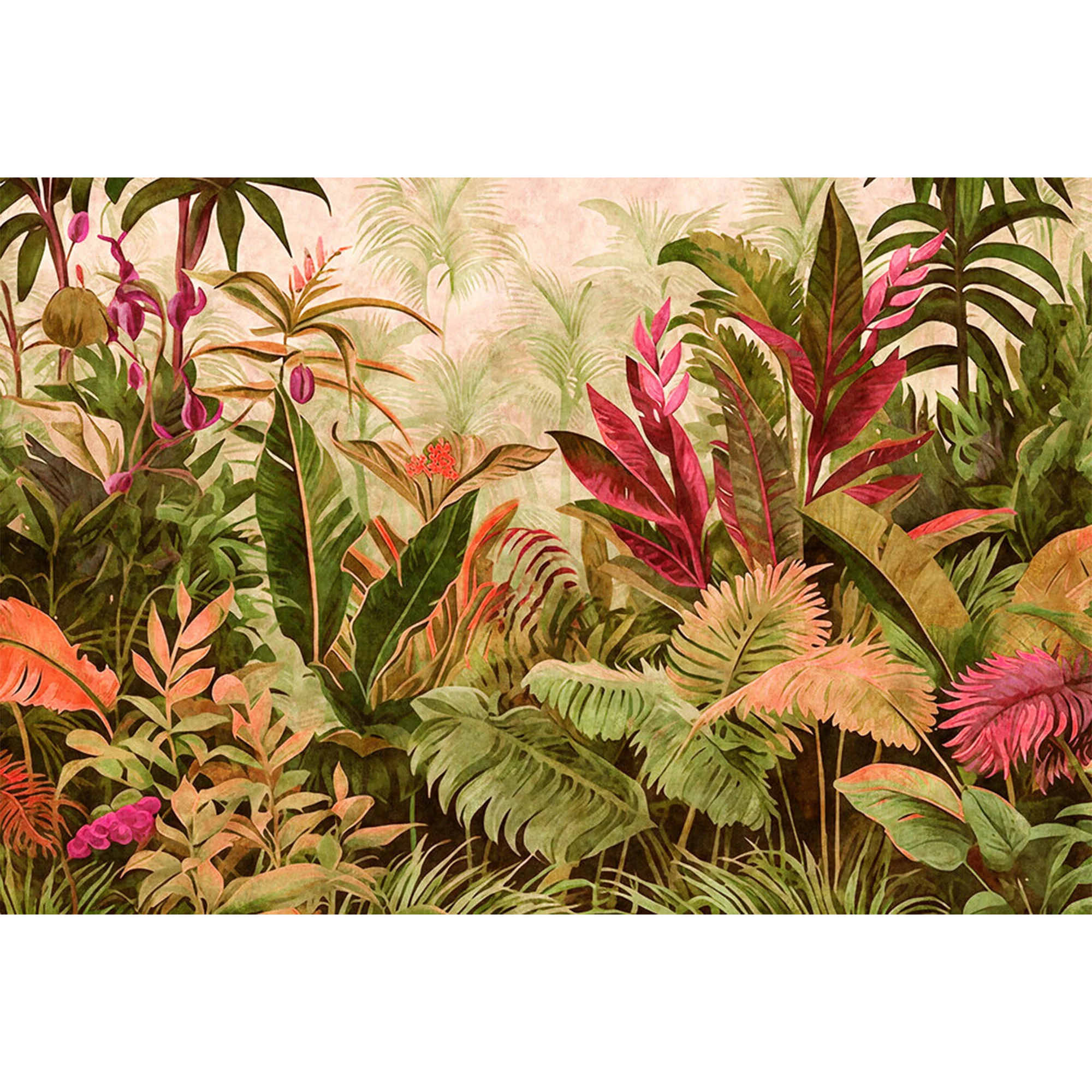 EDENIA - Image 2
