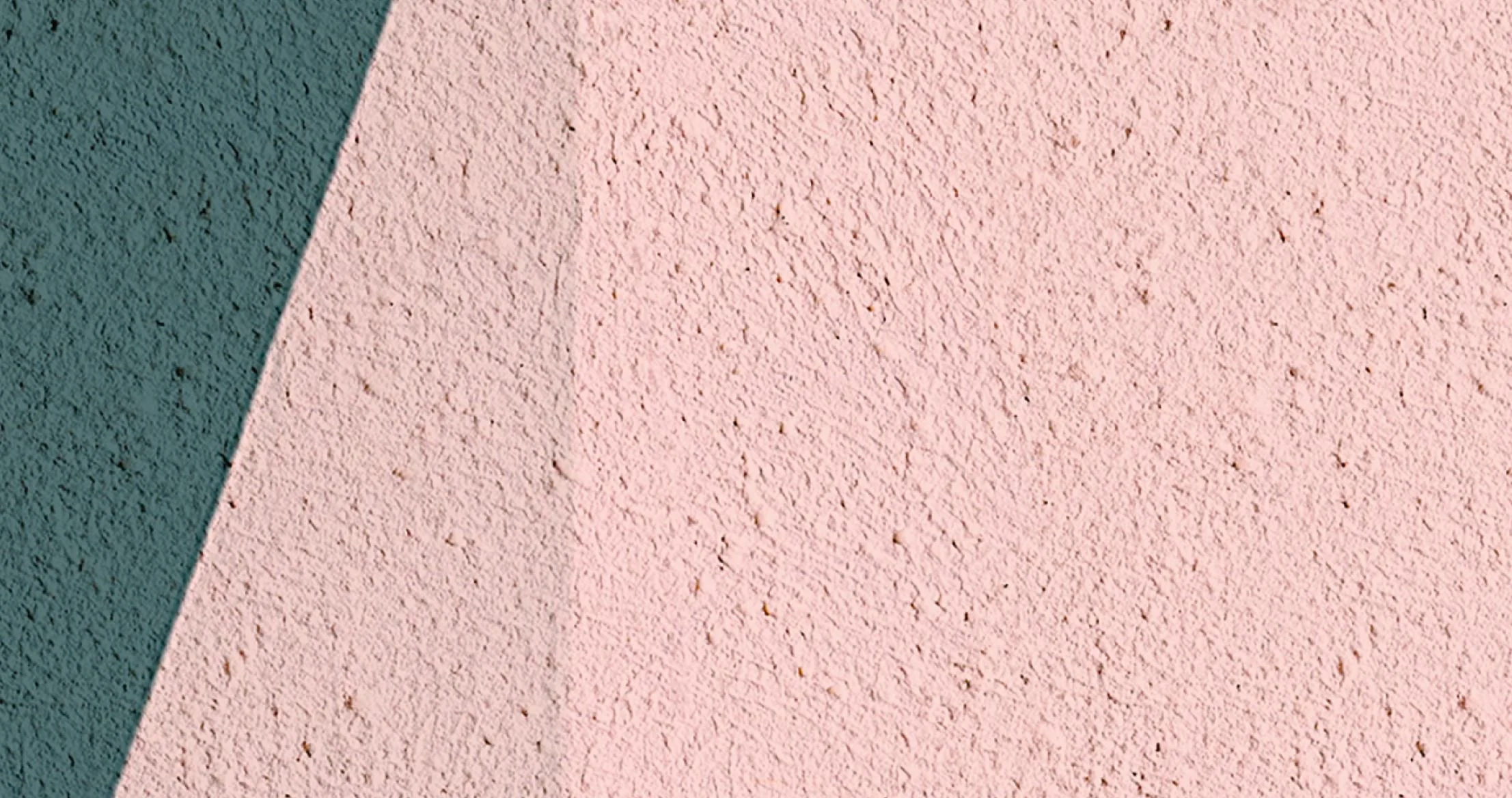 EDICIO - Image 4