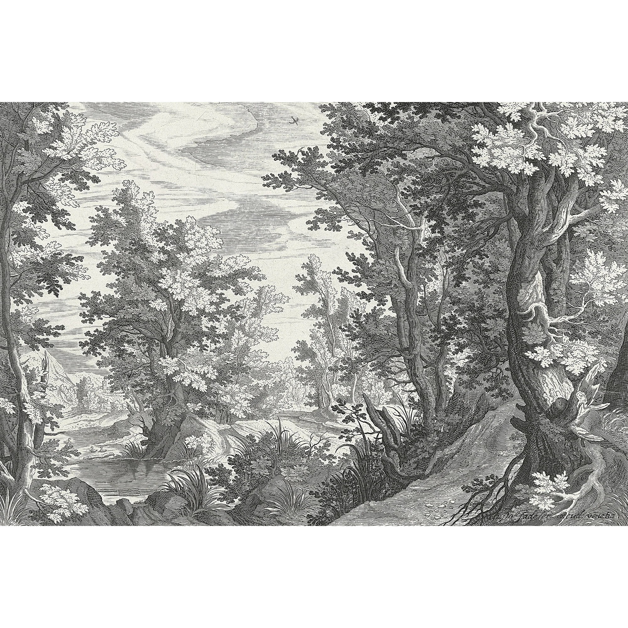 FANCY FOREST - Image 2
