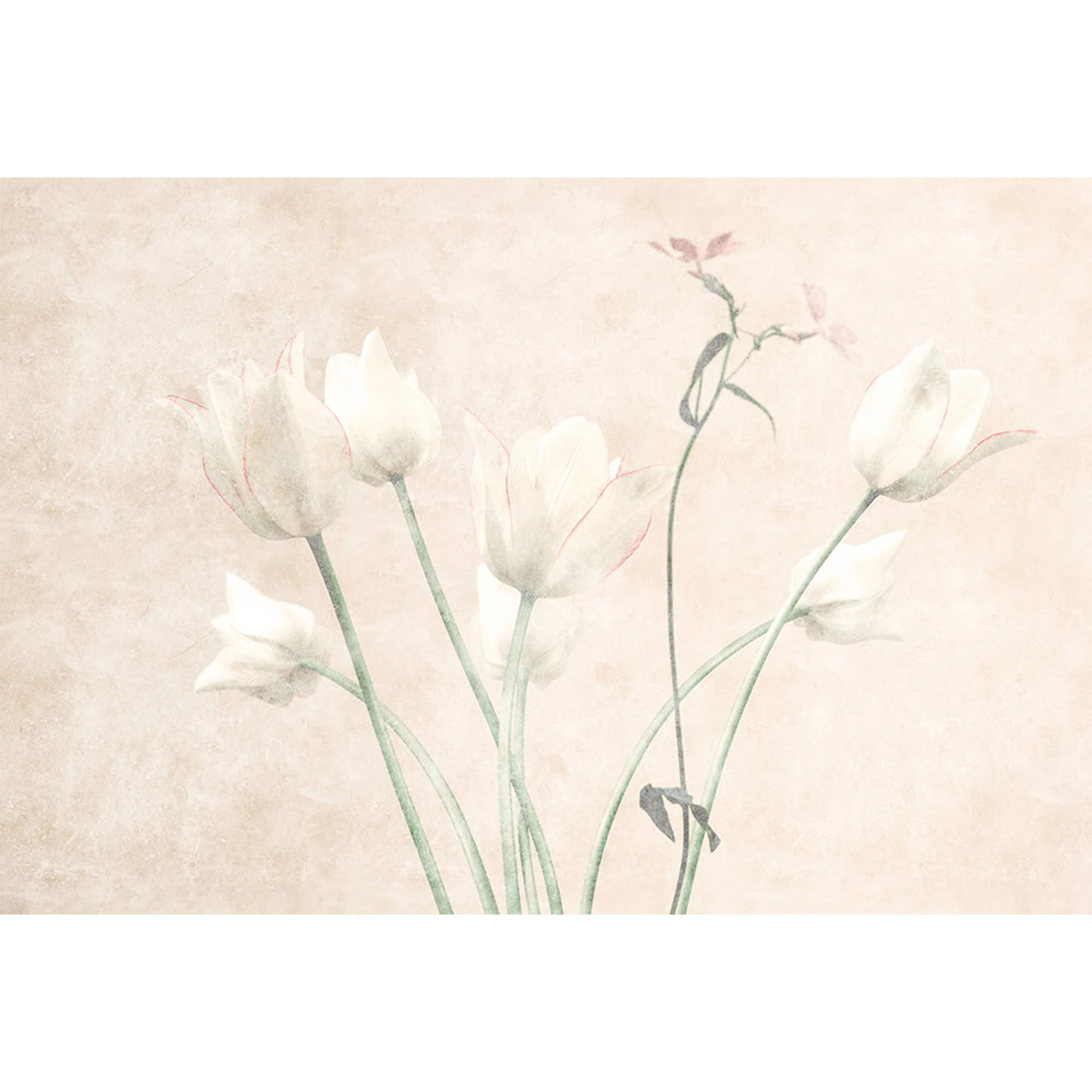 FIORI - Image 2