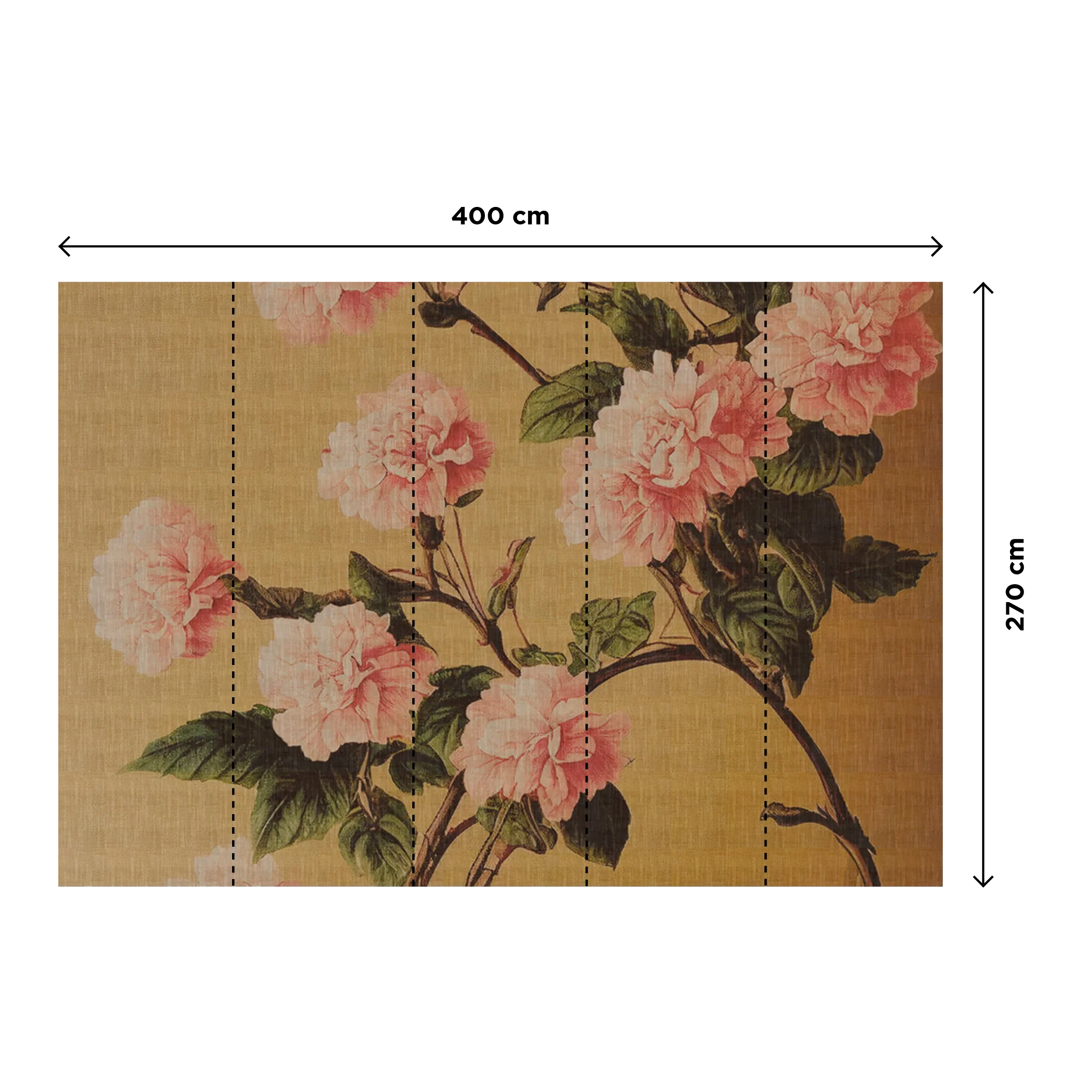 GRACIELLA - Image 3