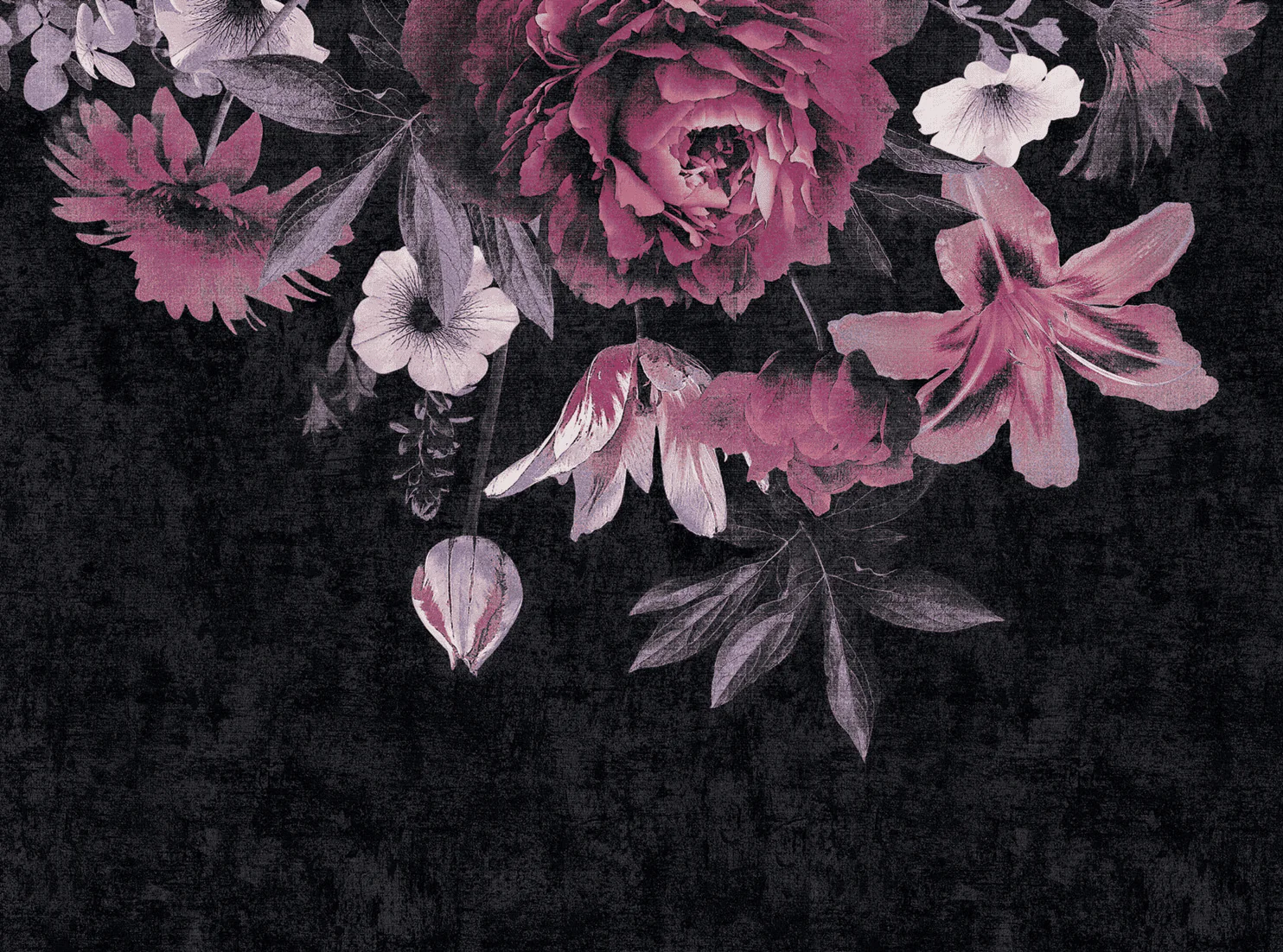 ILLANA - Image 2
