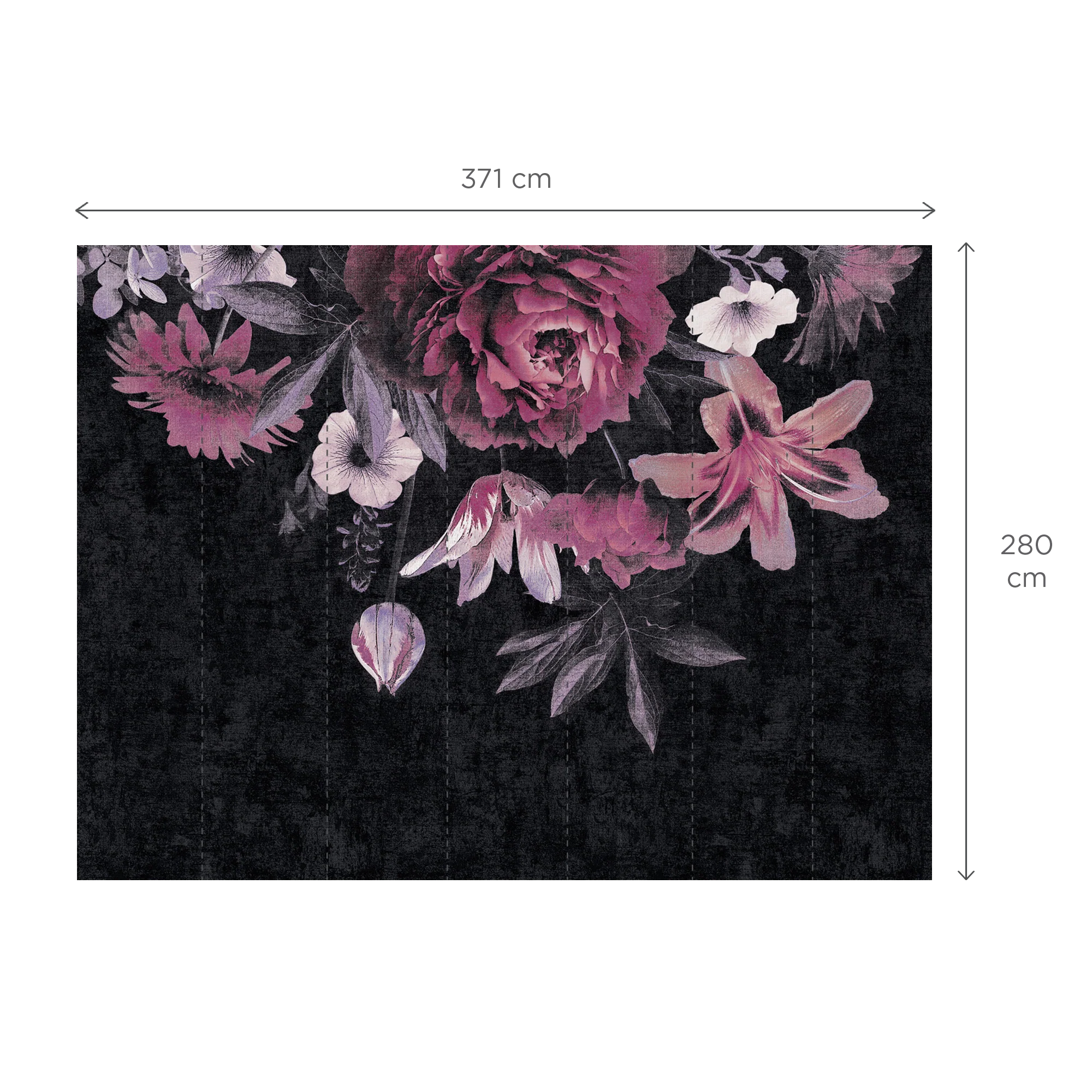 ILLANA - Image 3
