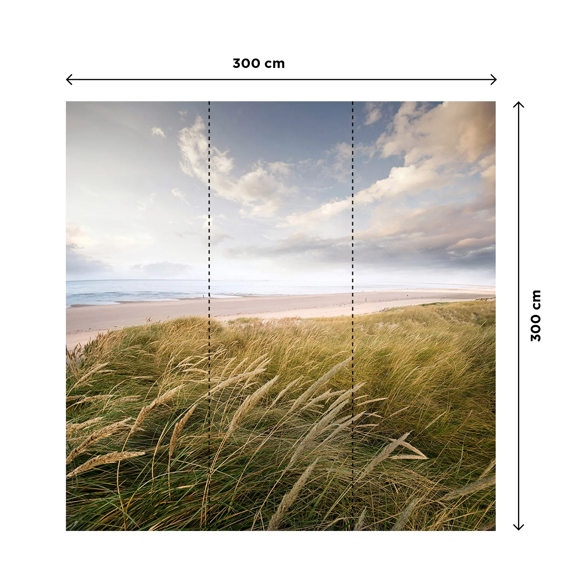 JOLY - Image 3