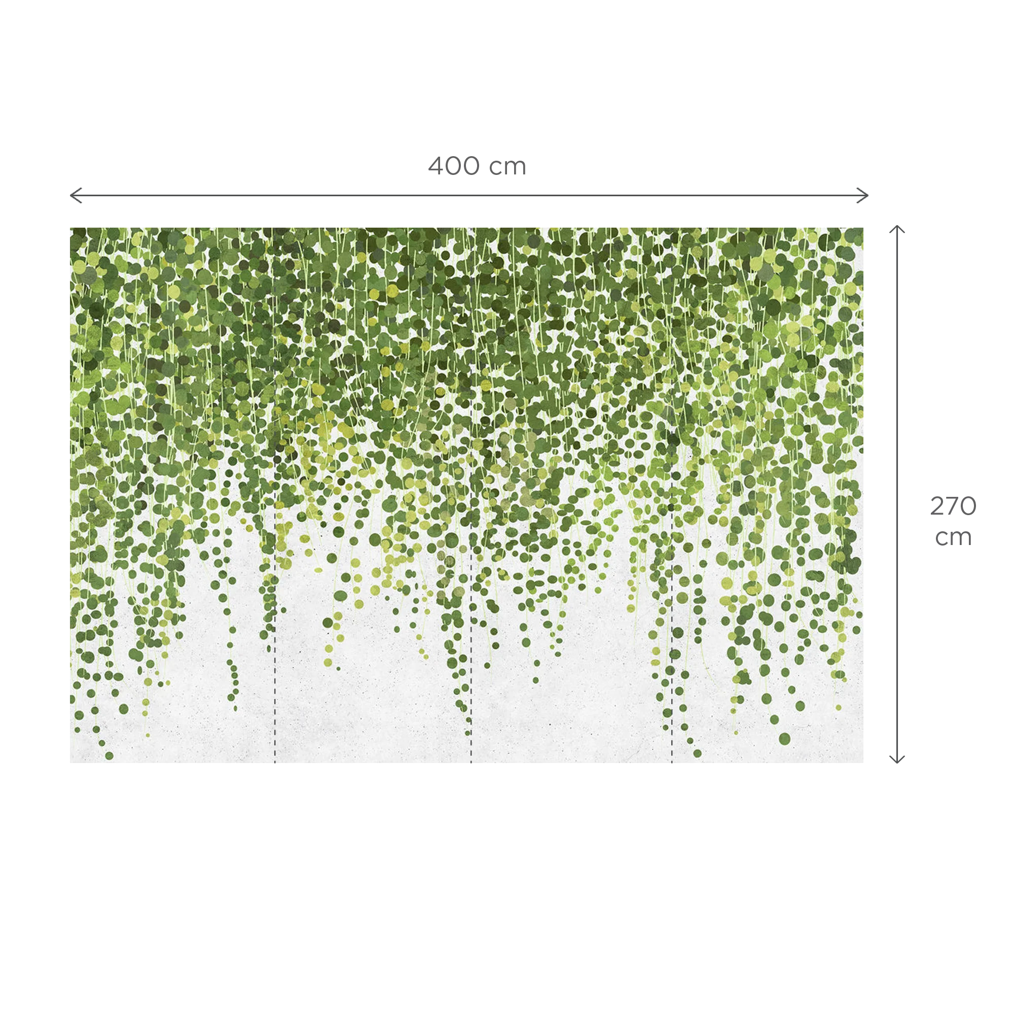 LIERRA - Image 3